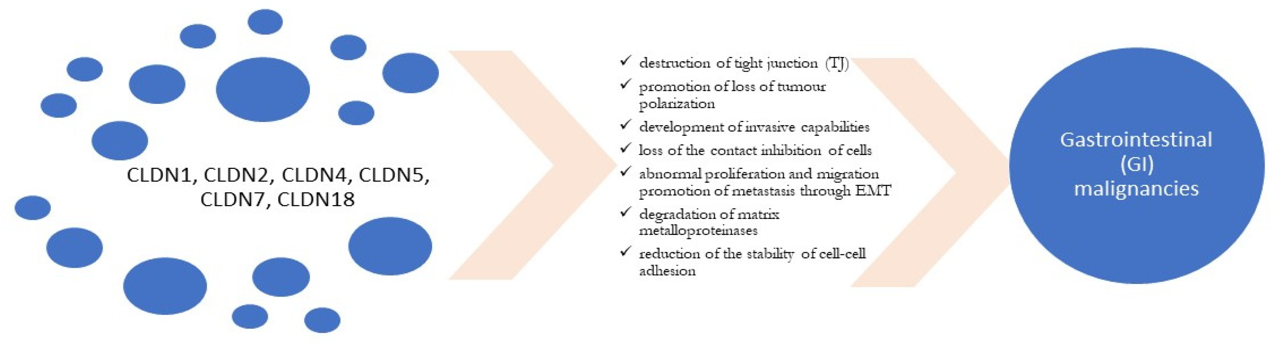 Cancers 16 00152 g002