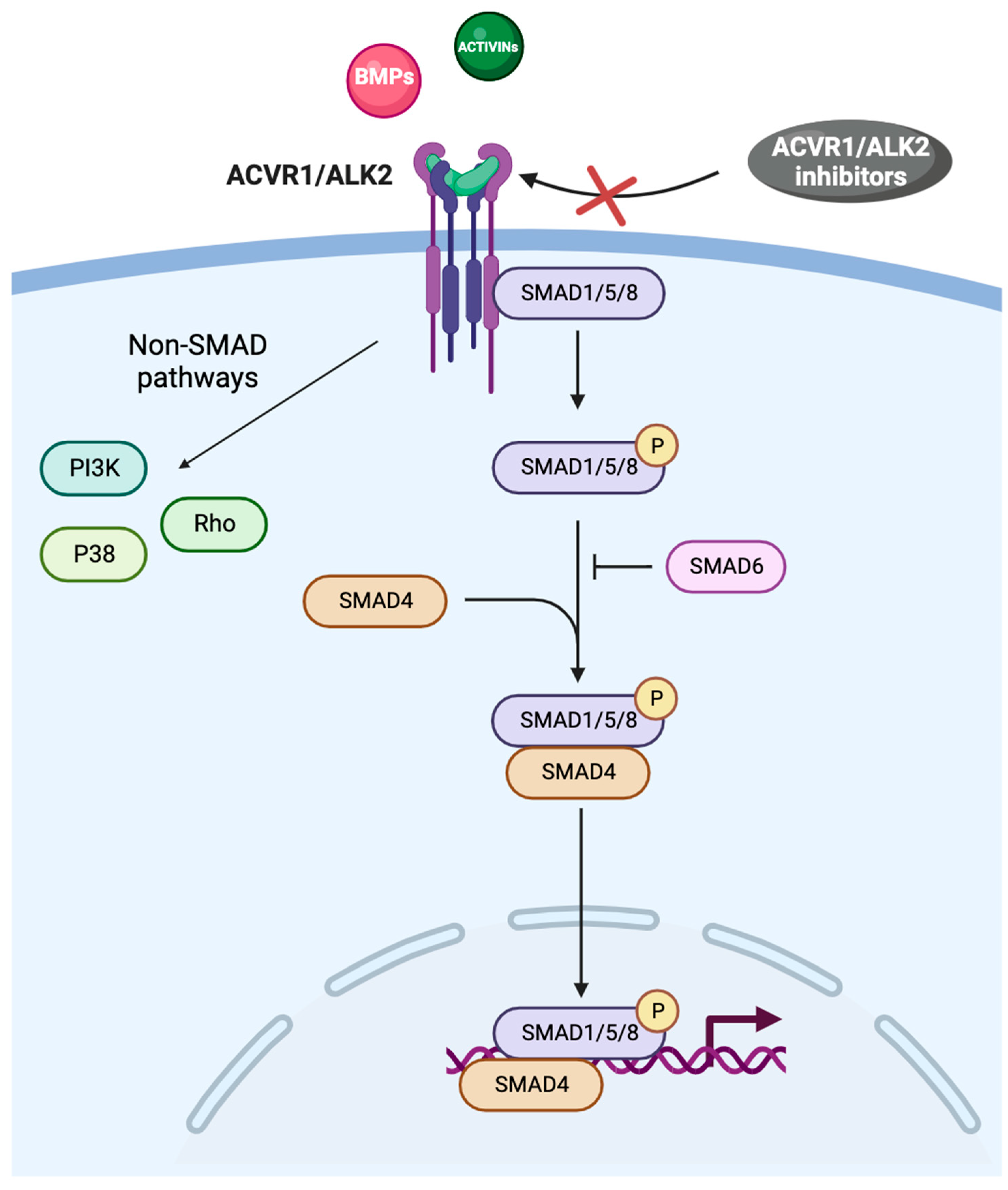 Cancers 16 00154 g001