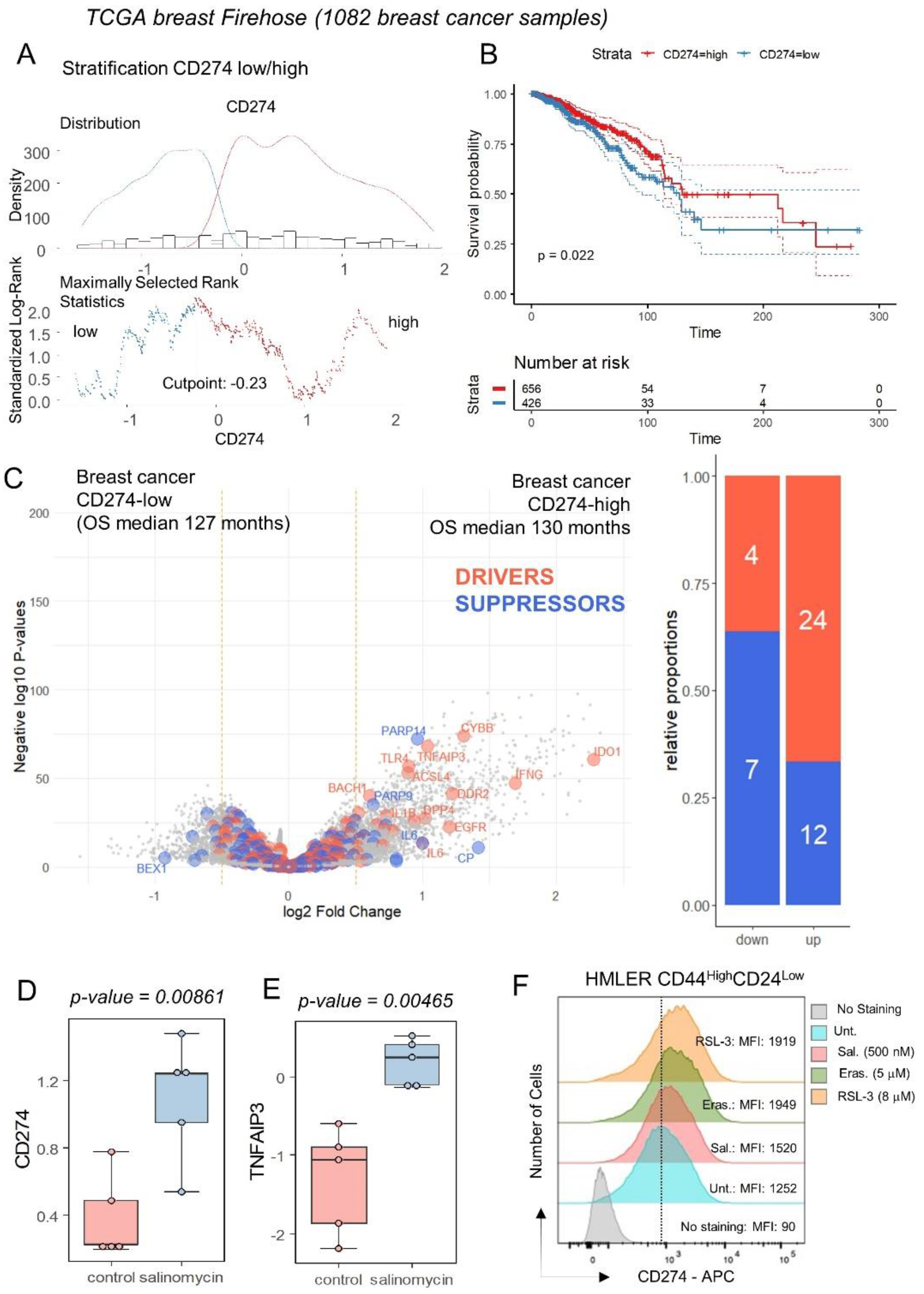 Cancers 16 00155 g004