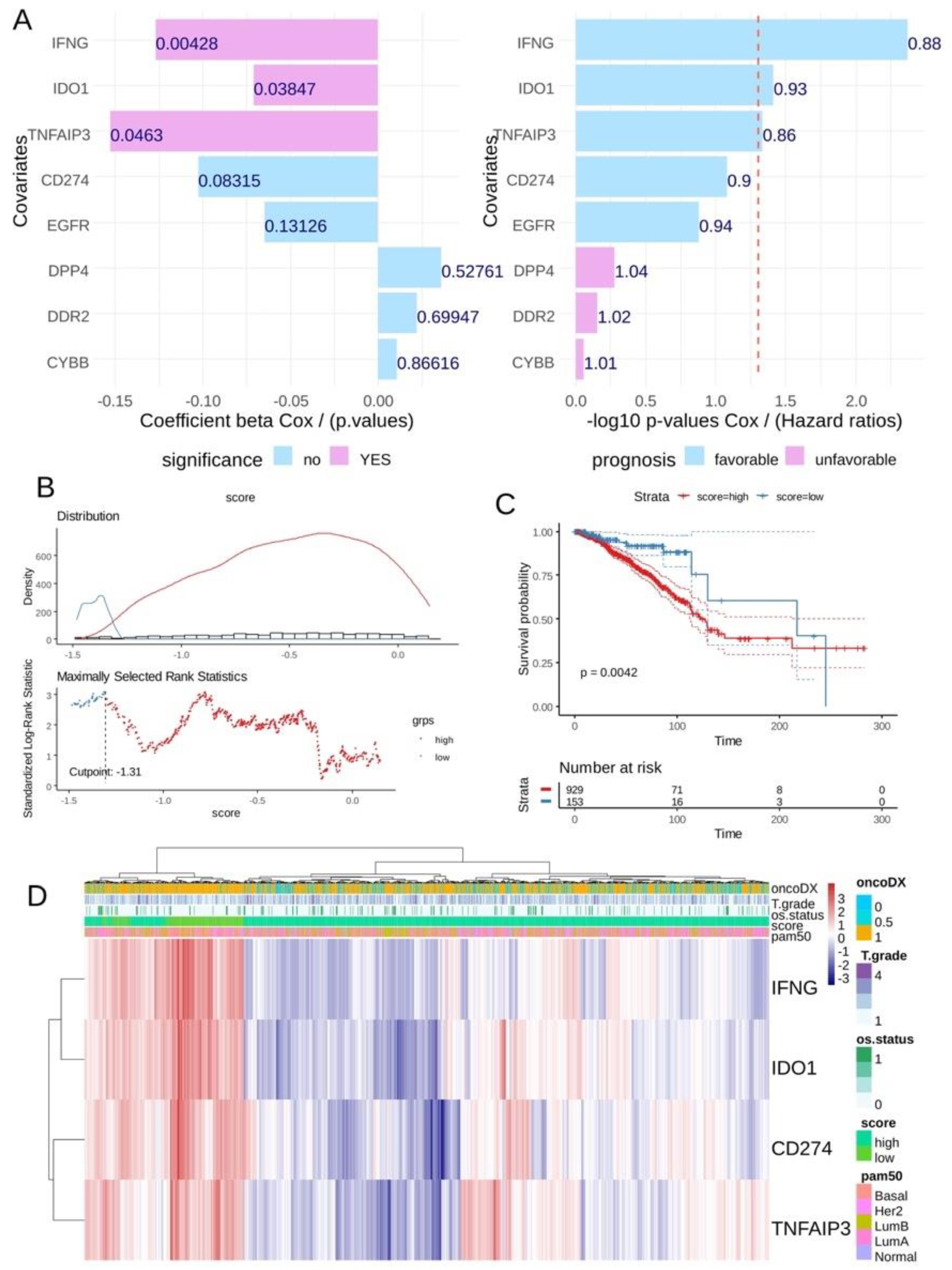 Cancers 16 00155 g005