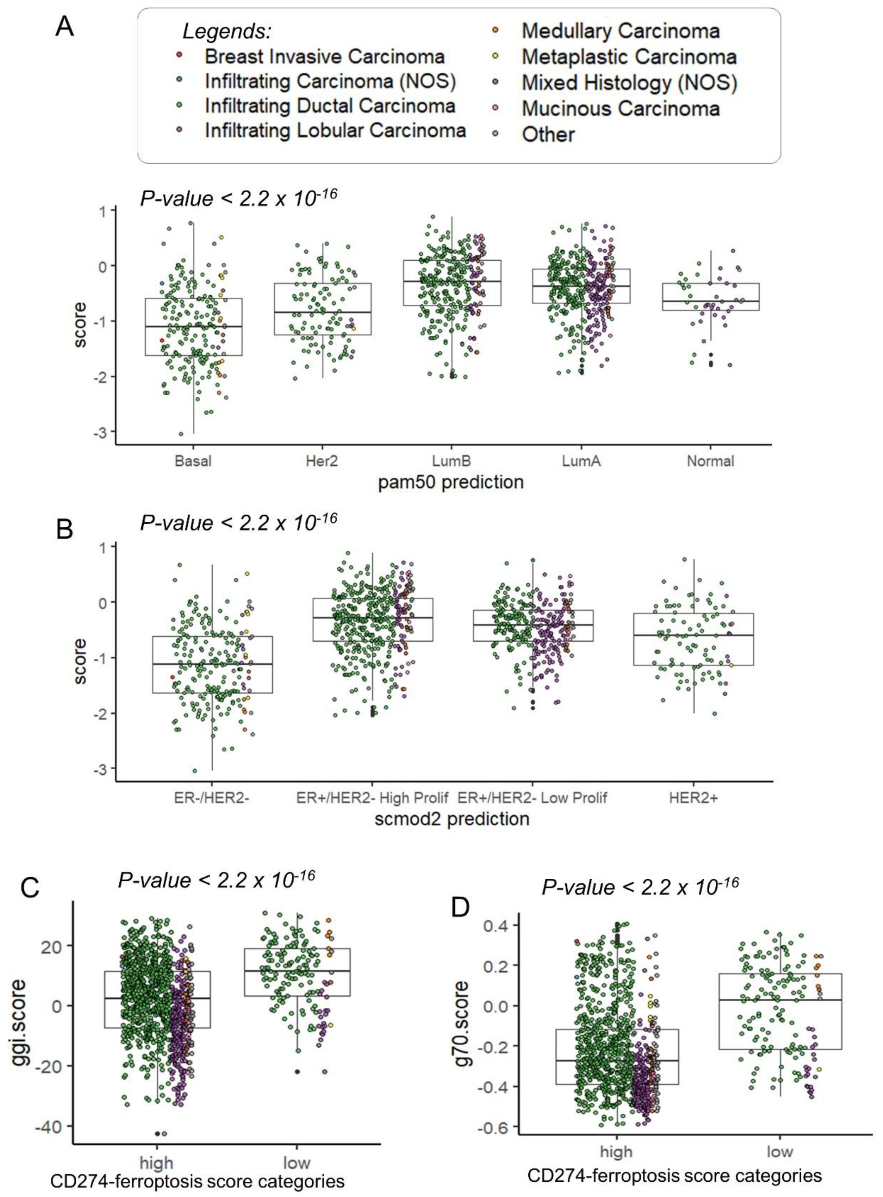 Cancers 16 00155 g007