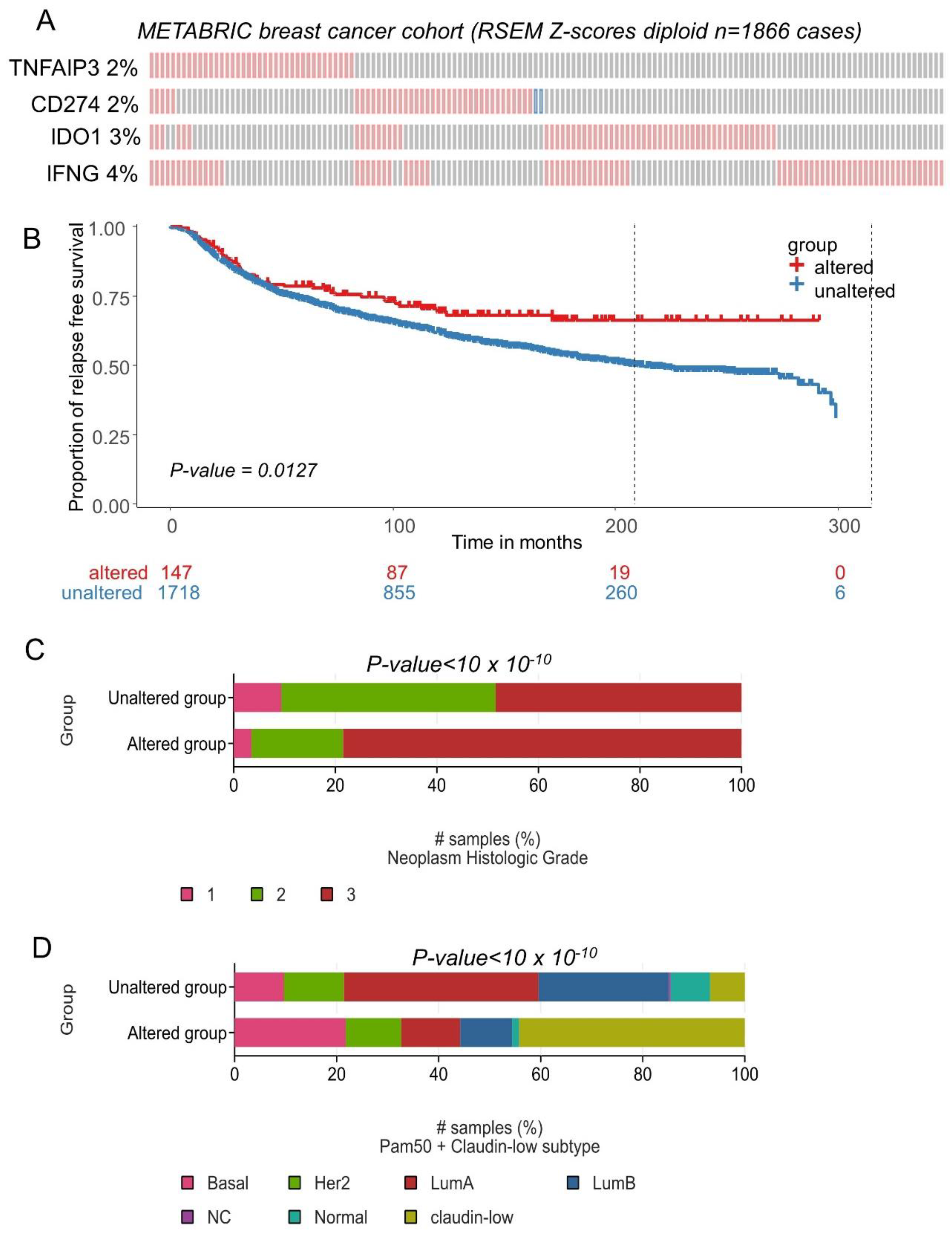 Cancers 16 00155 g008
