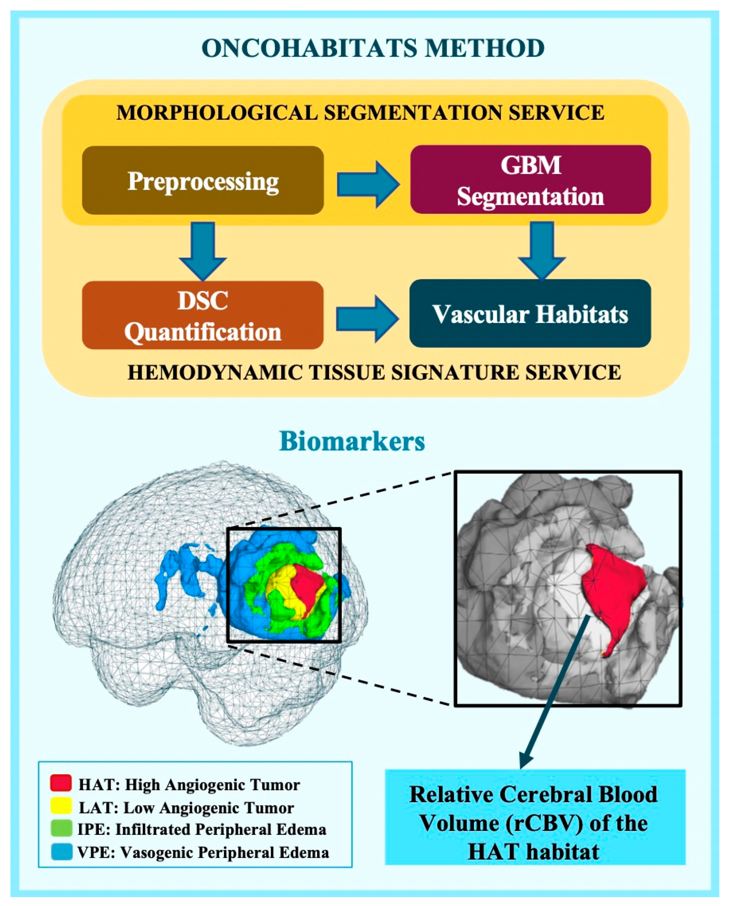Cancers 16 00161 g001
