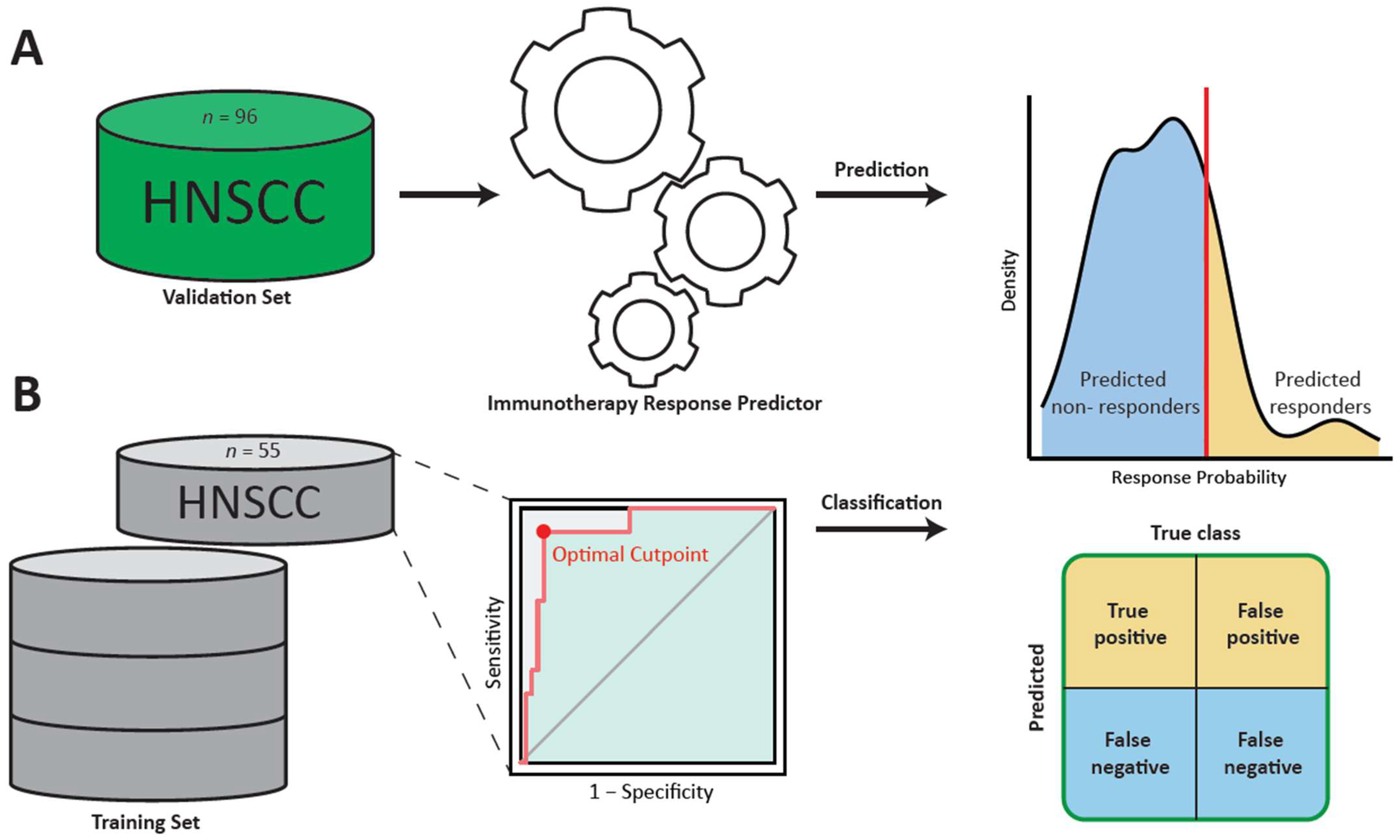 Cancers 16 00175 g001