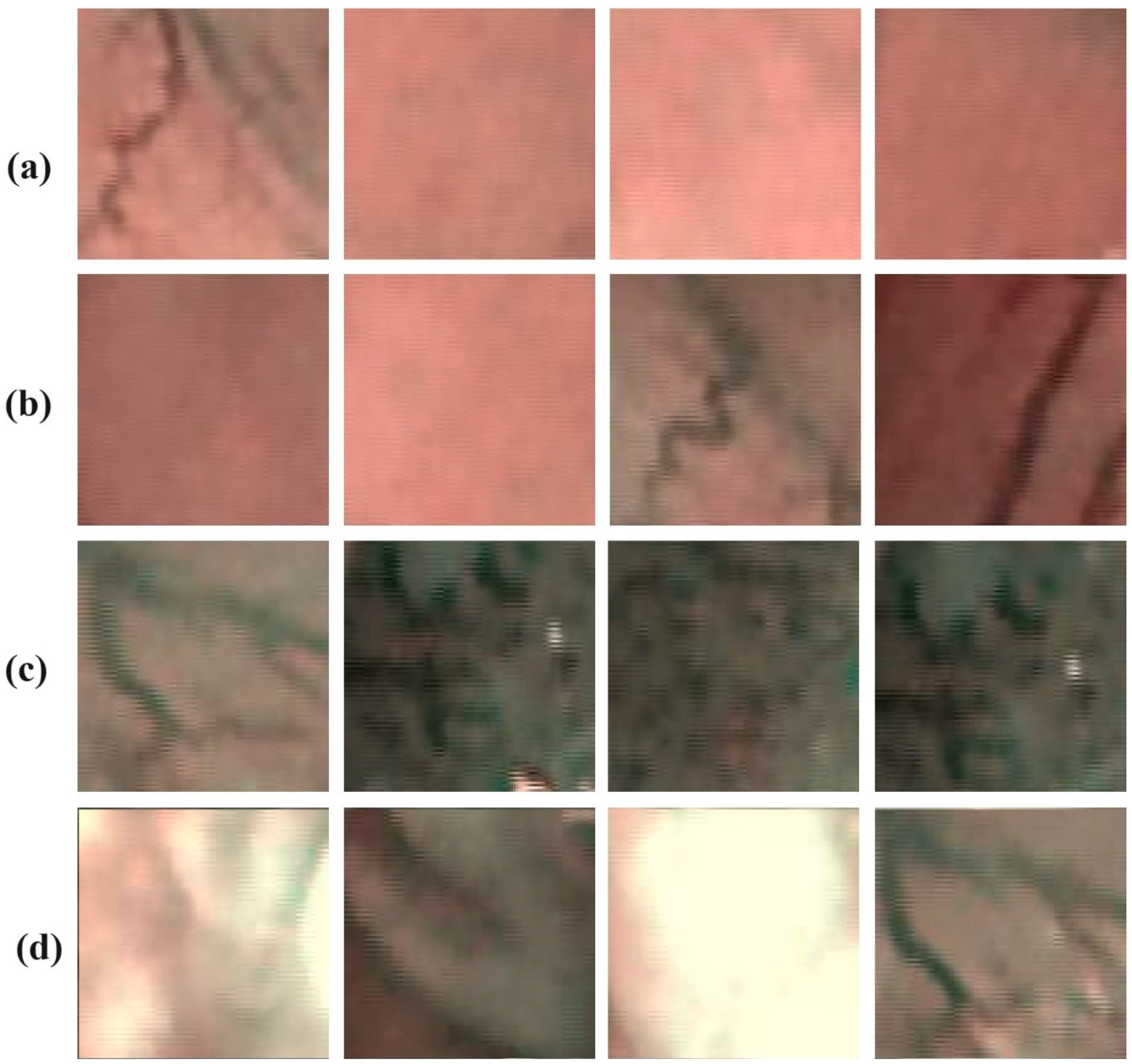 Cancers 16 00181 g002