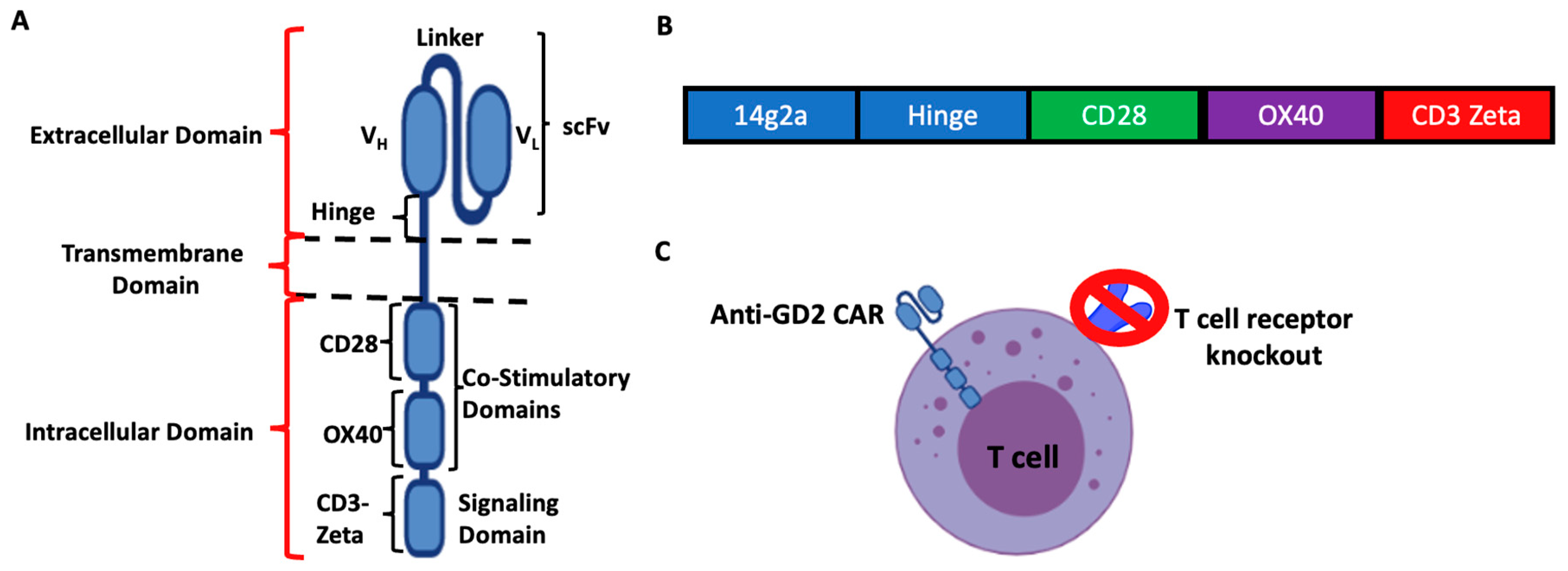 Cancers 16 00191 g001