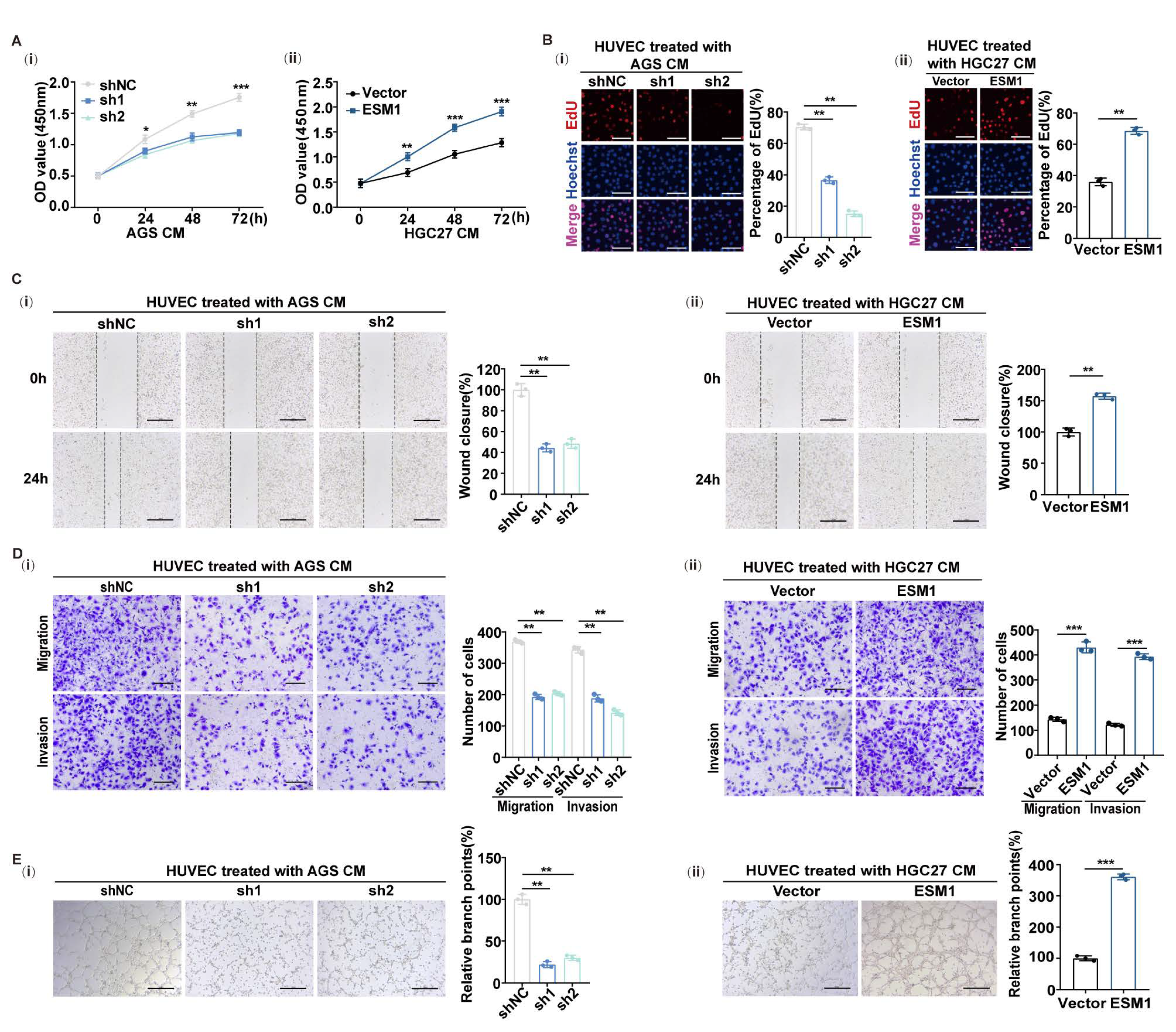 Cancers 16 00194 g002 Cancers 16 00194 g002