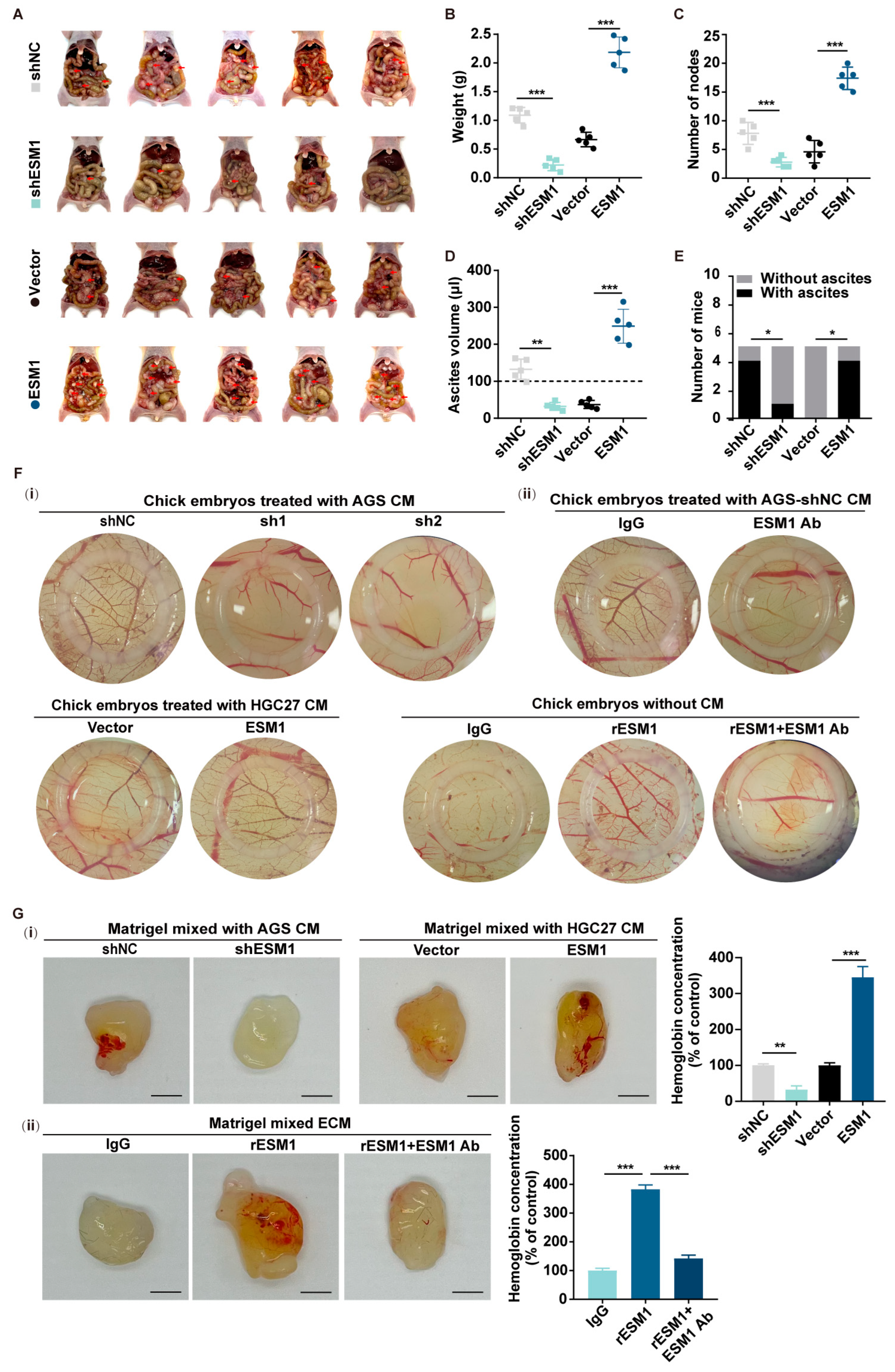 Cancers 16 00194 g003 Cancers 16 00194 g003