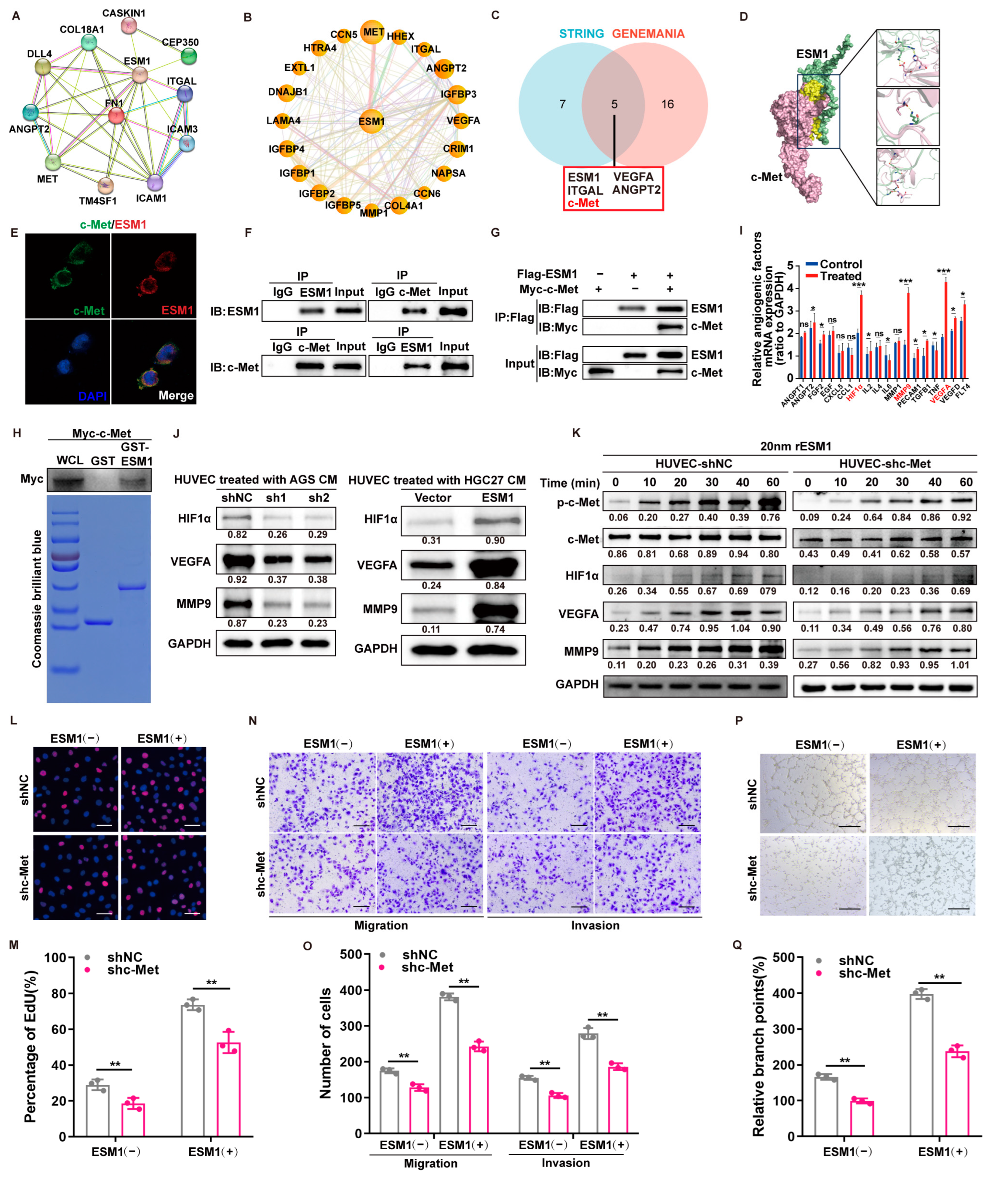Cancers 16 00194 g004 Cancers 16 00194 g004