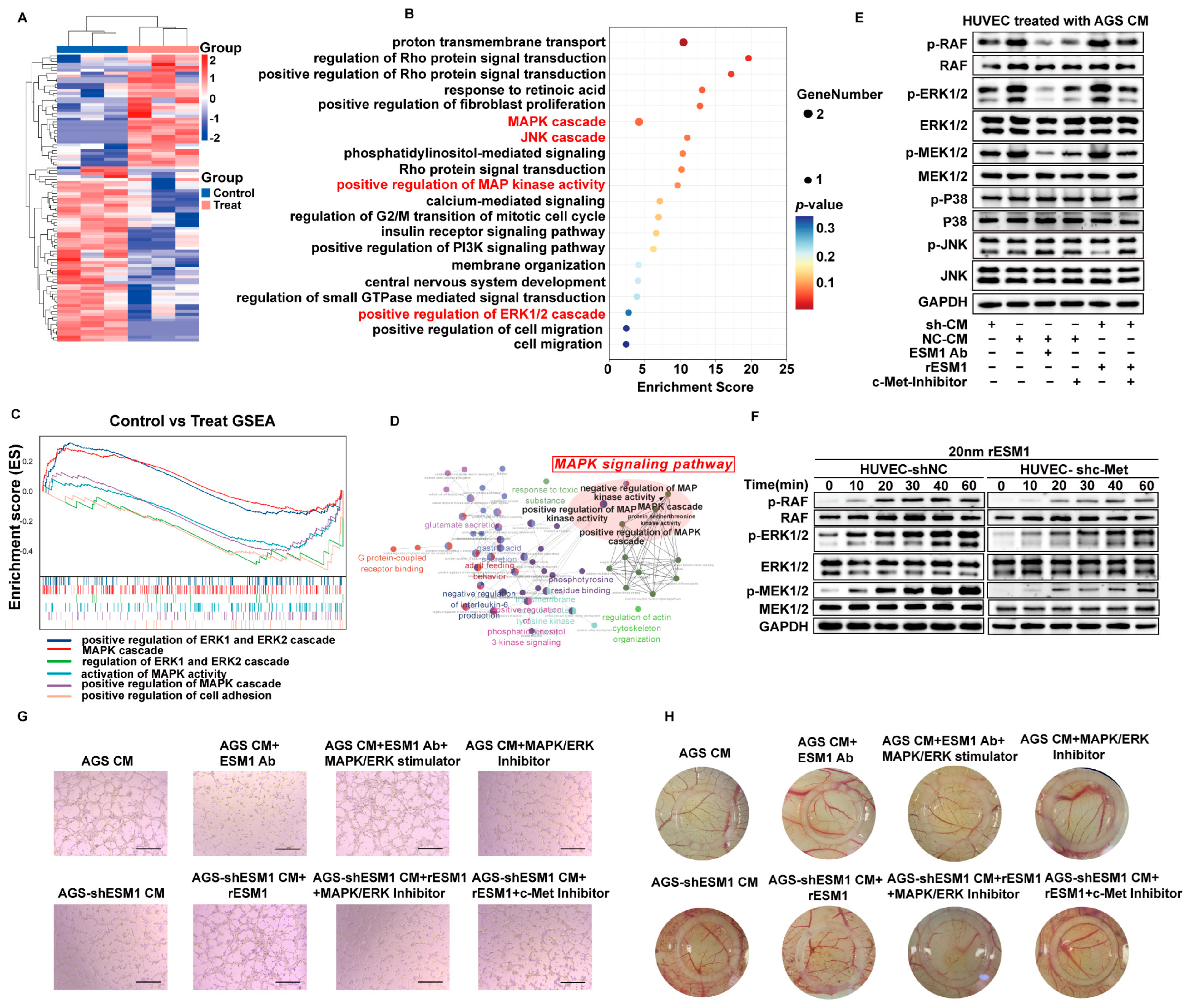 Cancers 16 00194 g005 Cancers 16 00194 g005