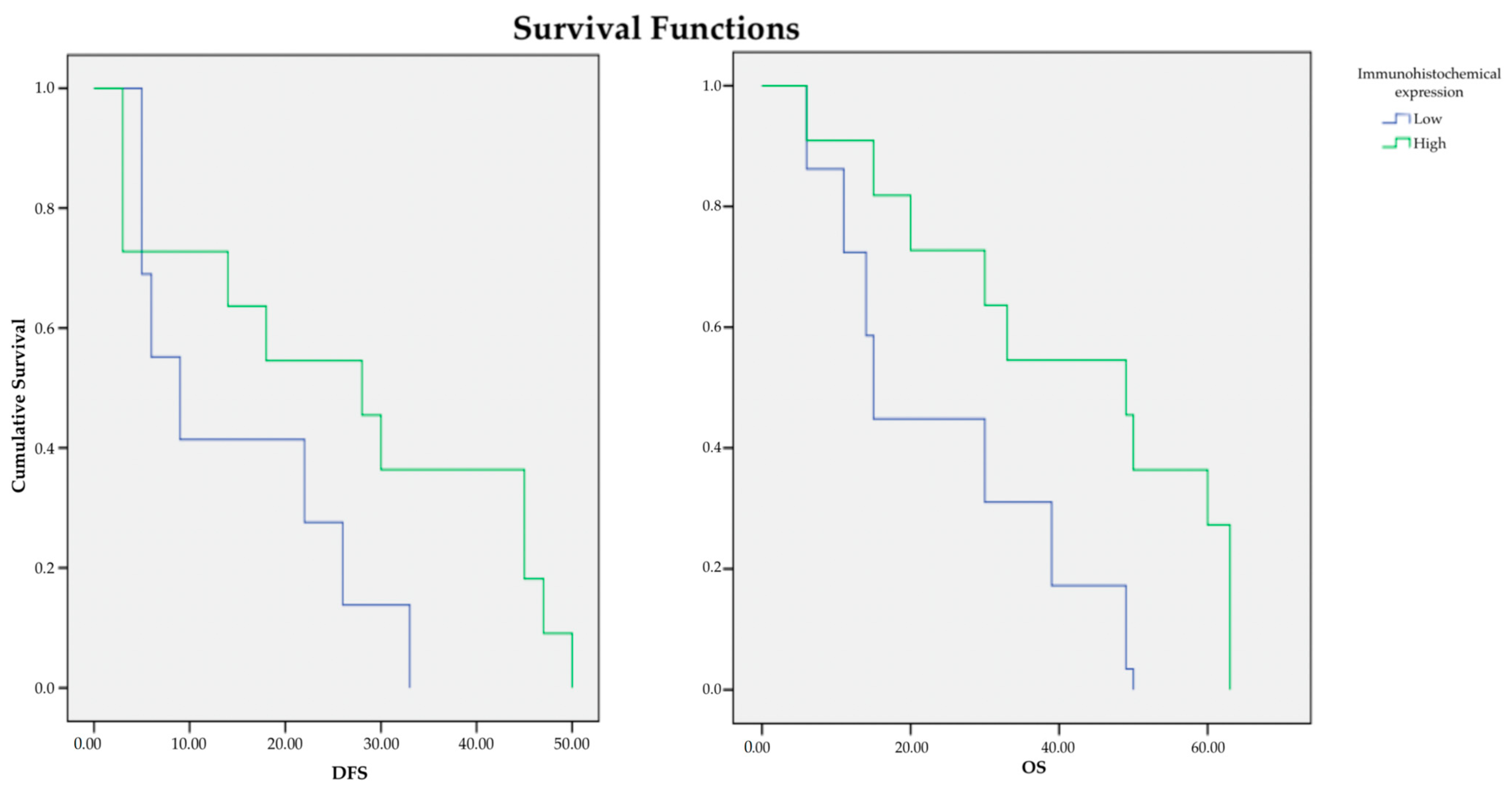 Cancers 16 00209 g004