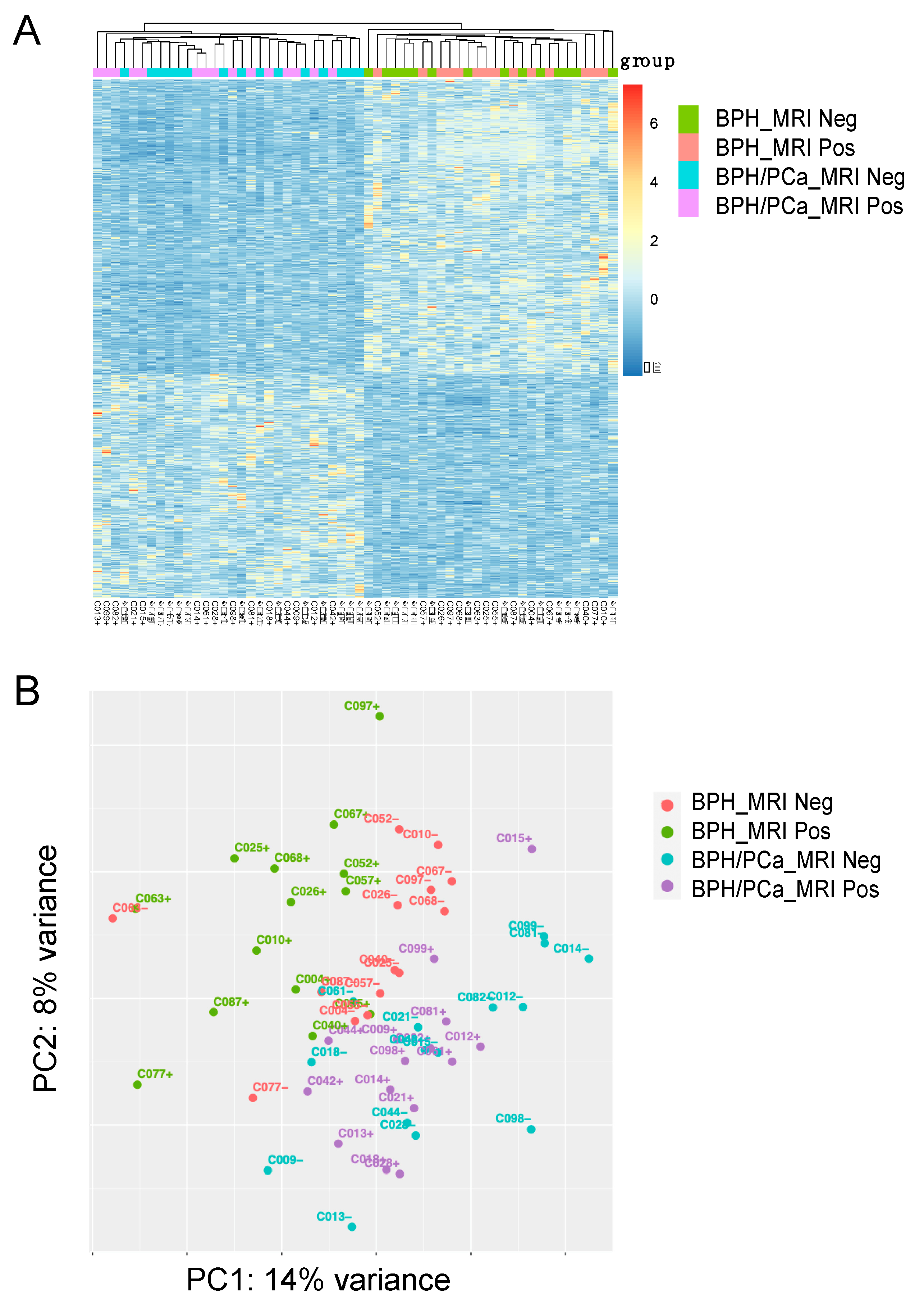 Cancers 16 00213 g001