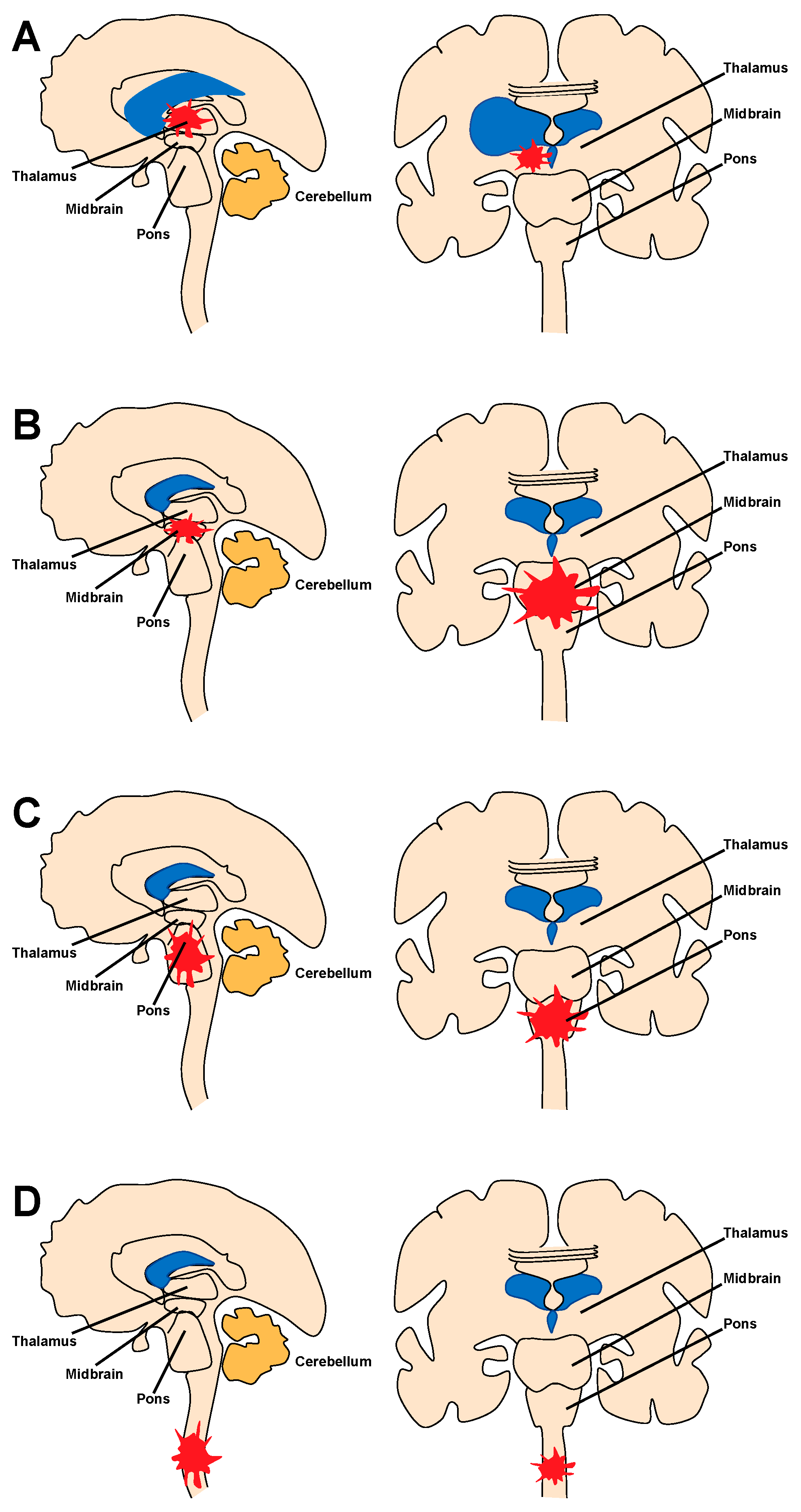 Cancers 16 00219 g001