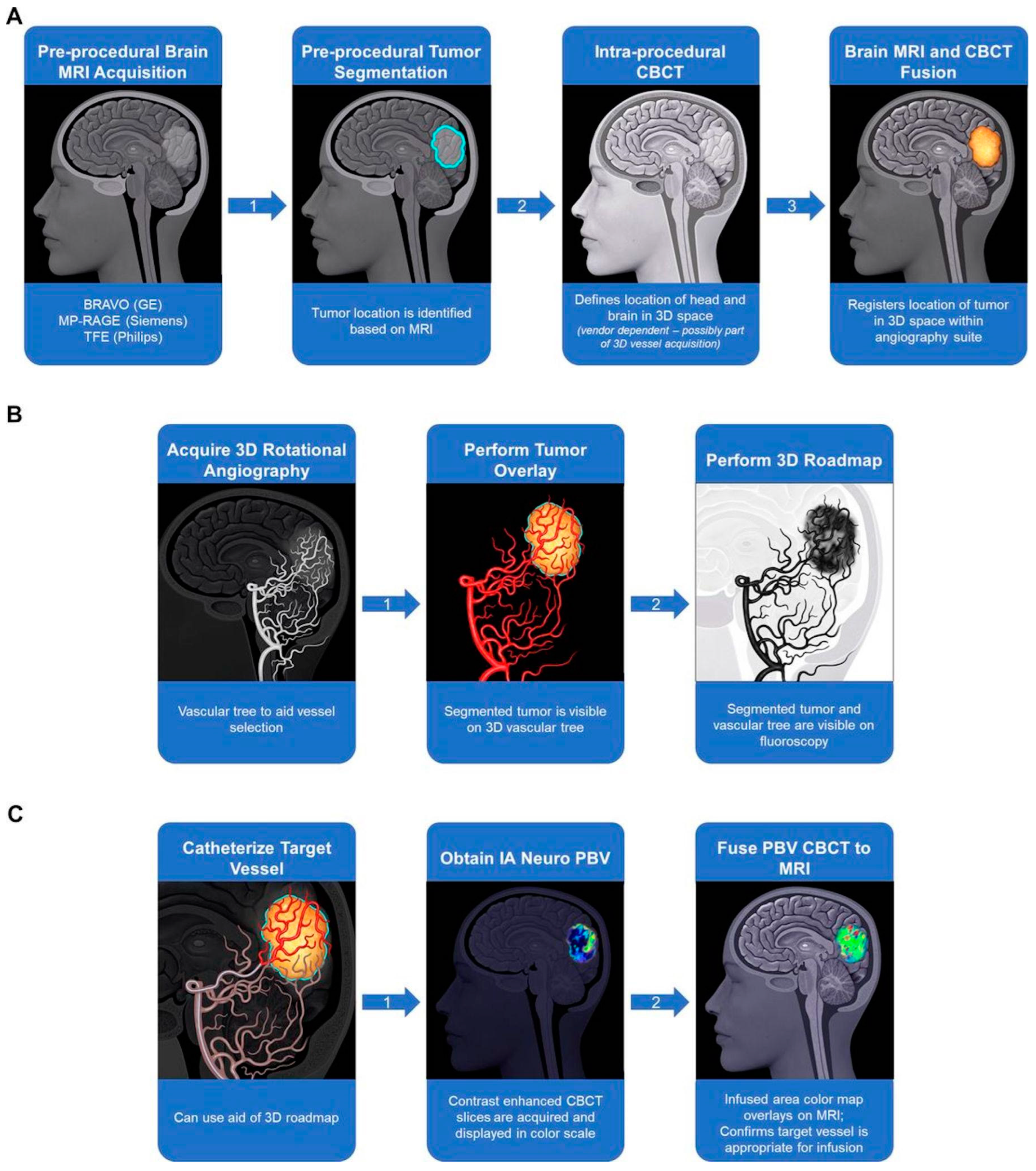 Cancers 16 00236 g006