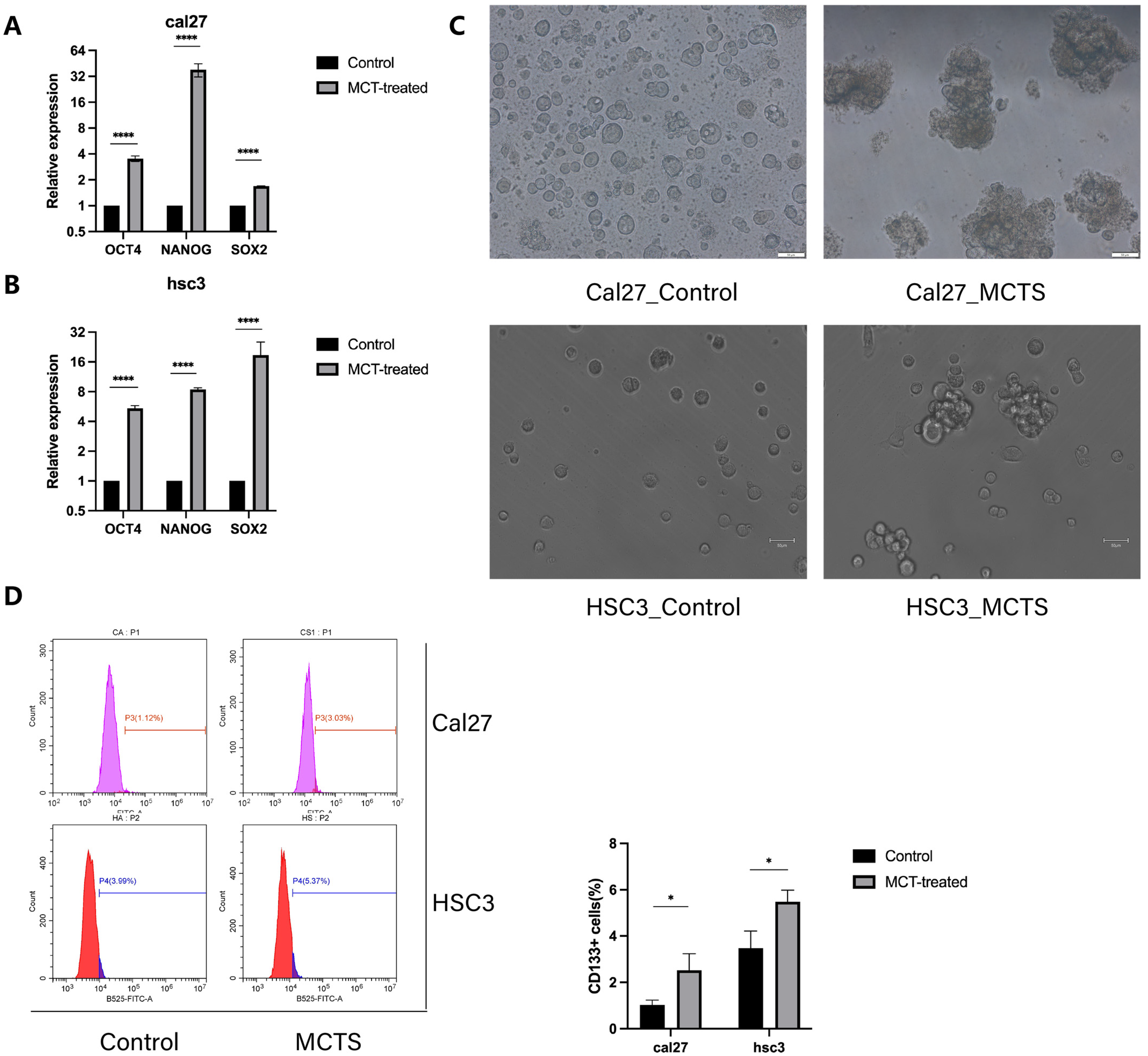 Cancers 16 00237 g001