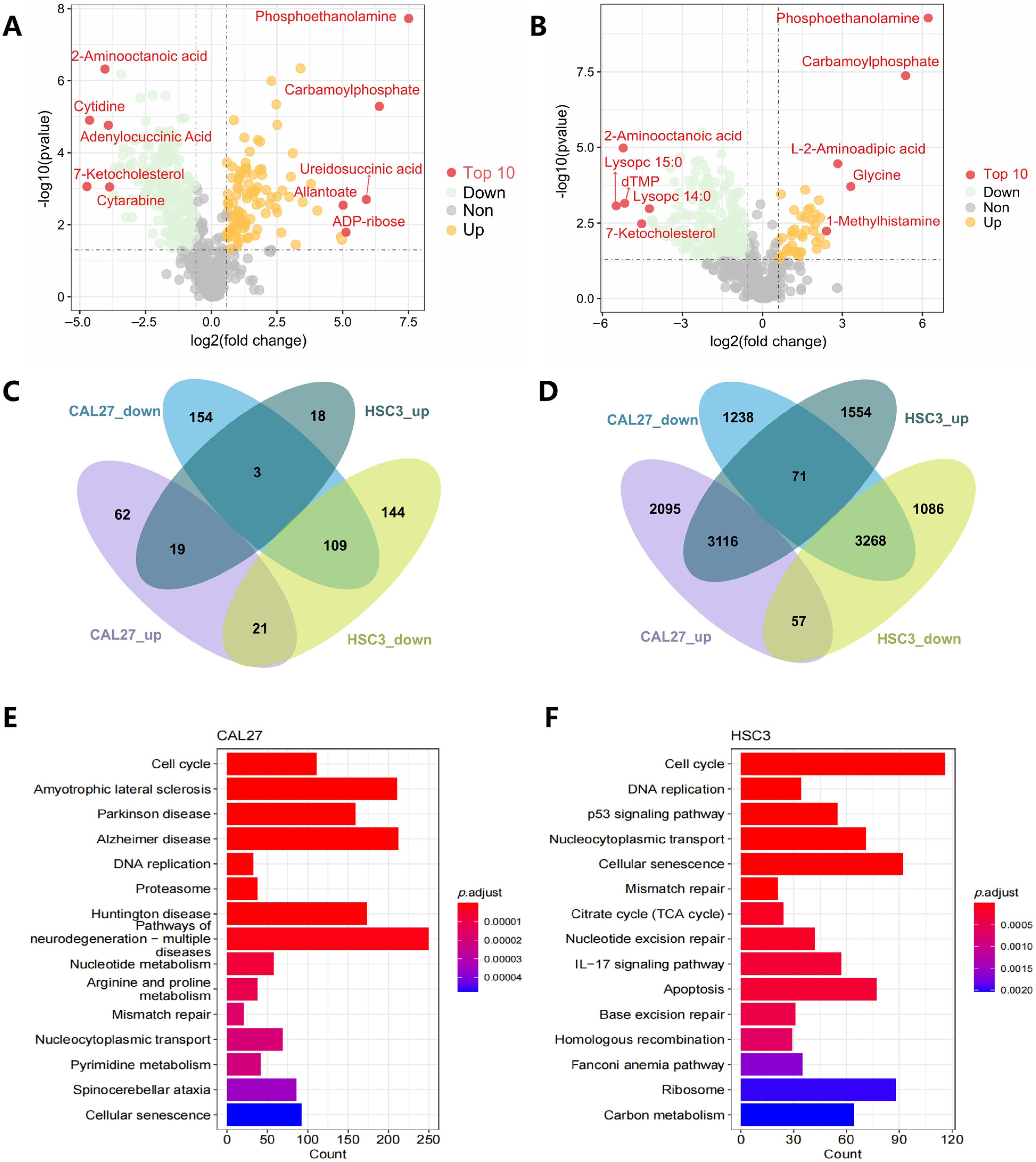 Cancers 16 00237 g002