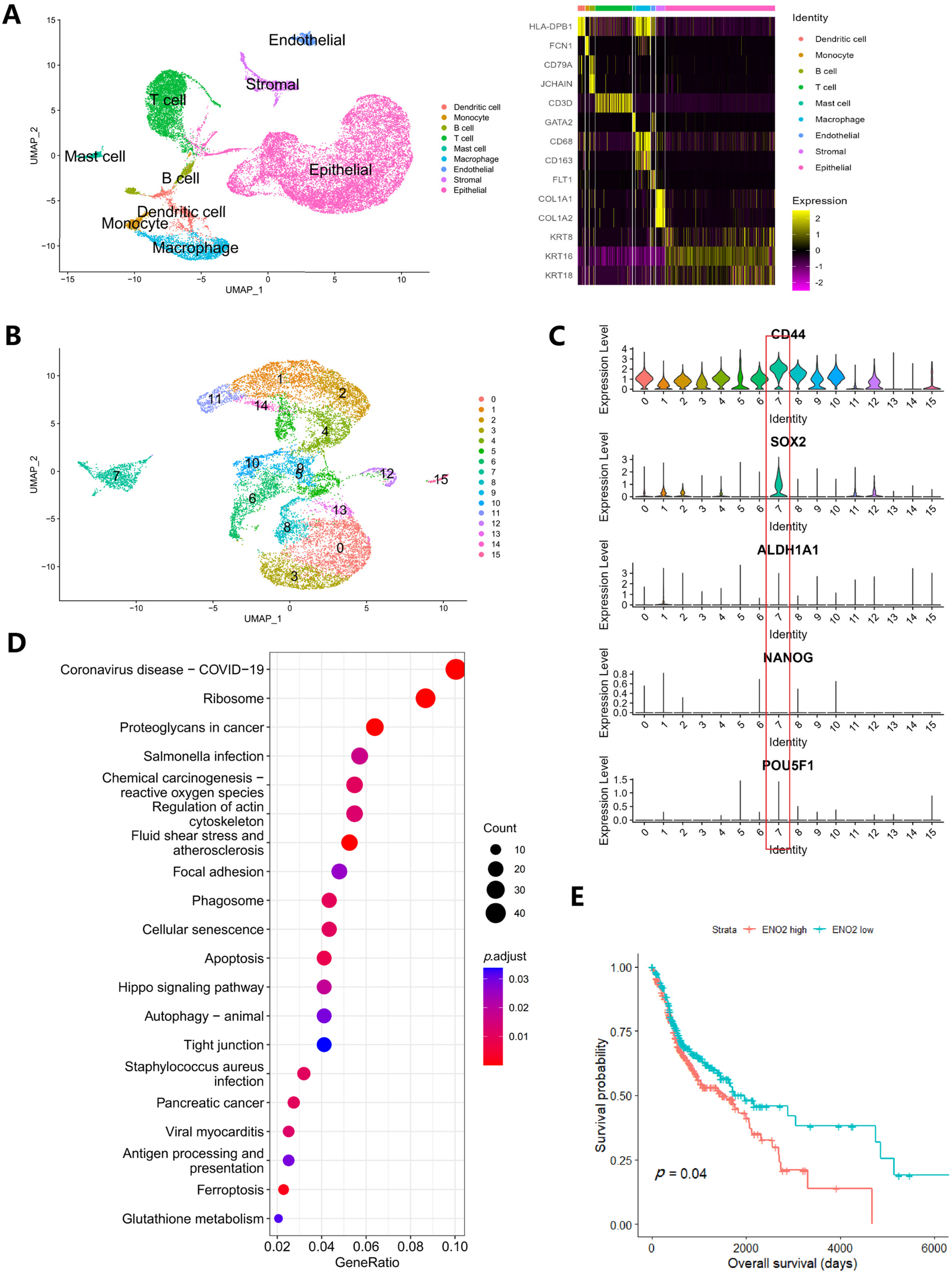 Cancers 16 00237 g003