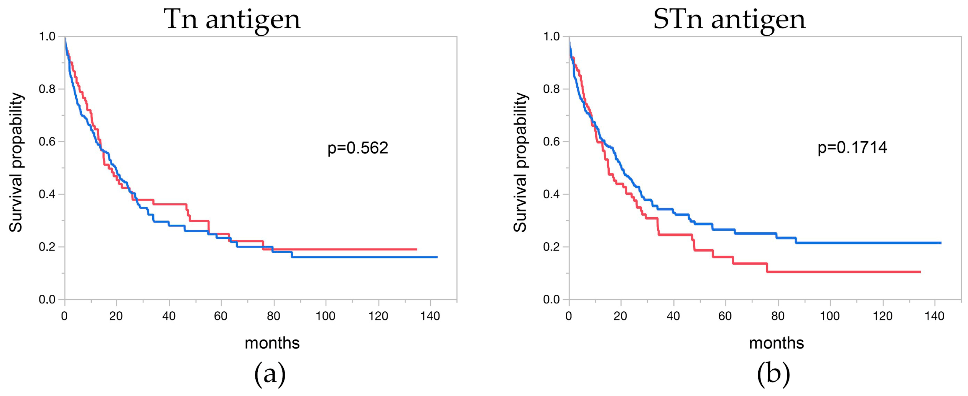Cancers 16 00240 g003