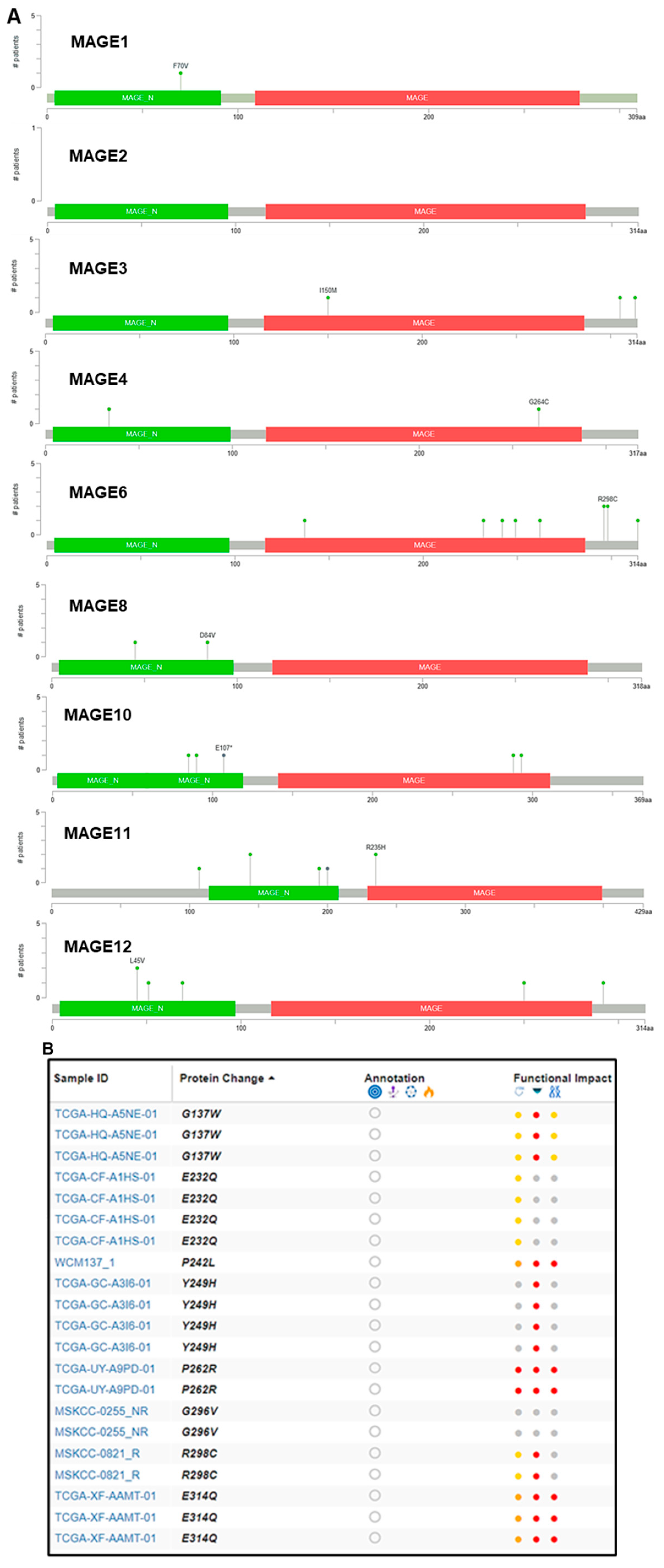 Cancers 16 00246 g004