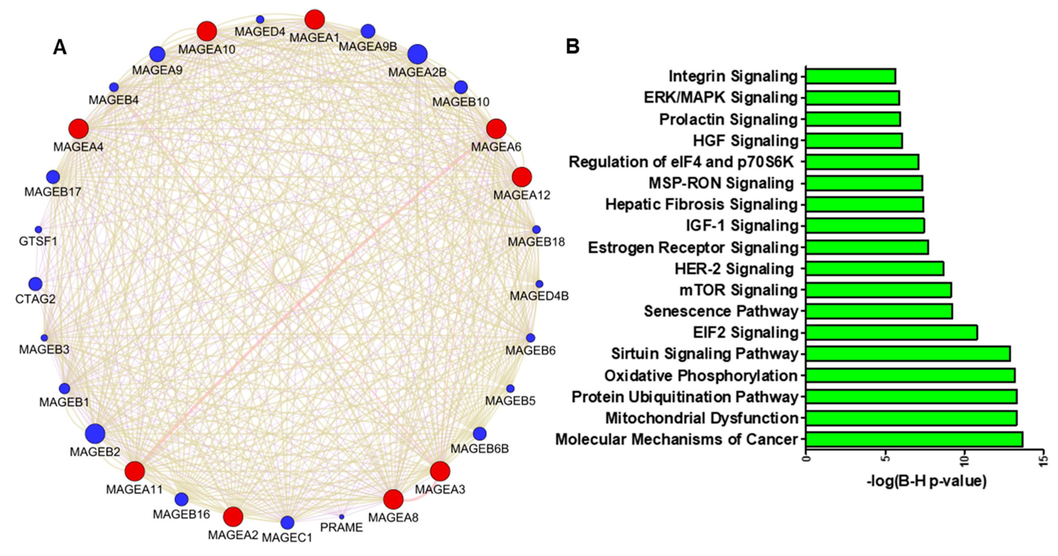 Cancers 16 00246 g005
