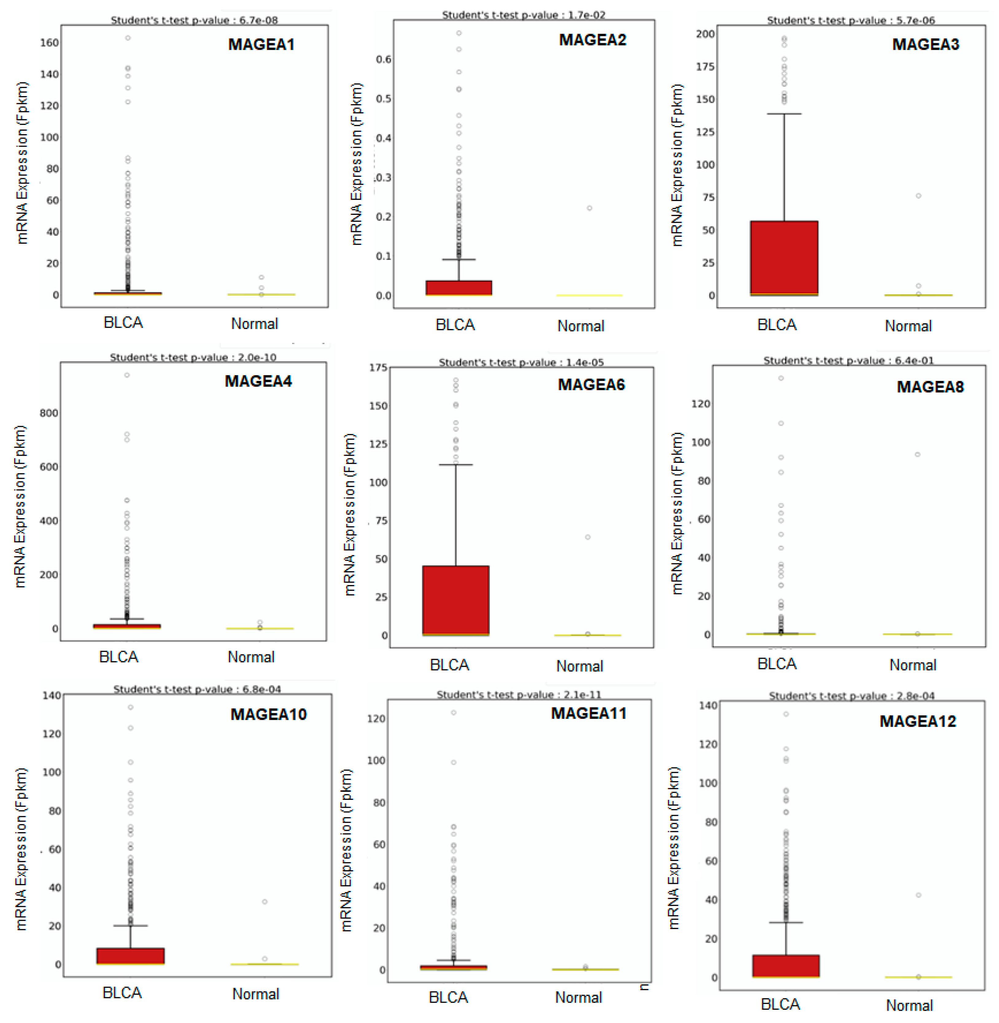 Cancers 16 00246 g006