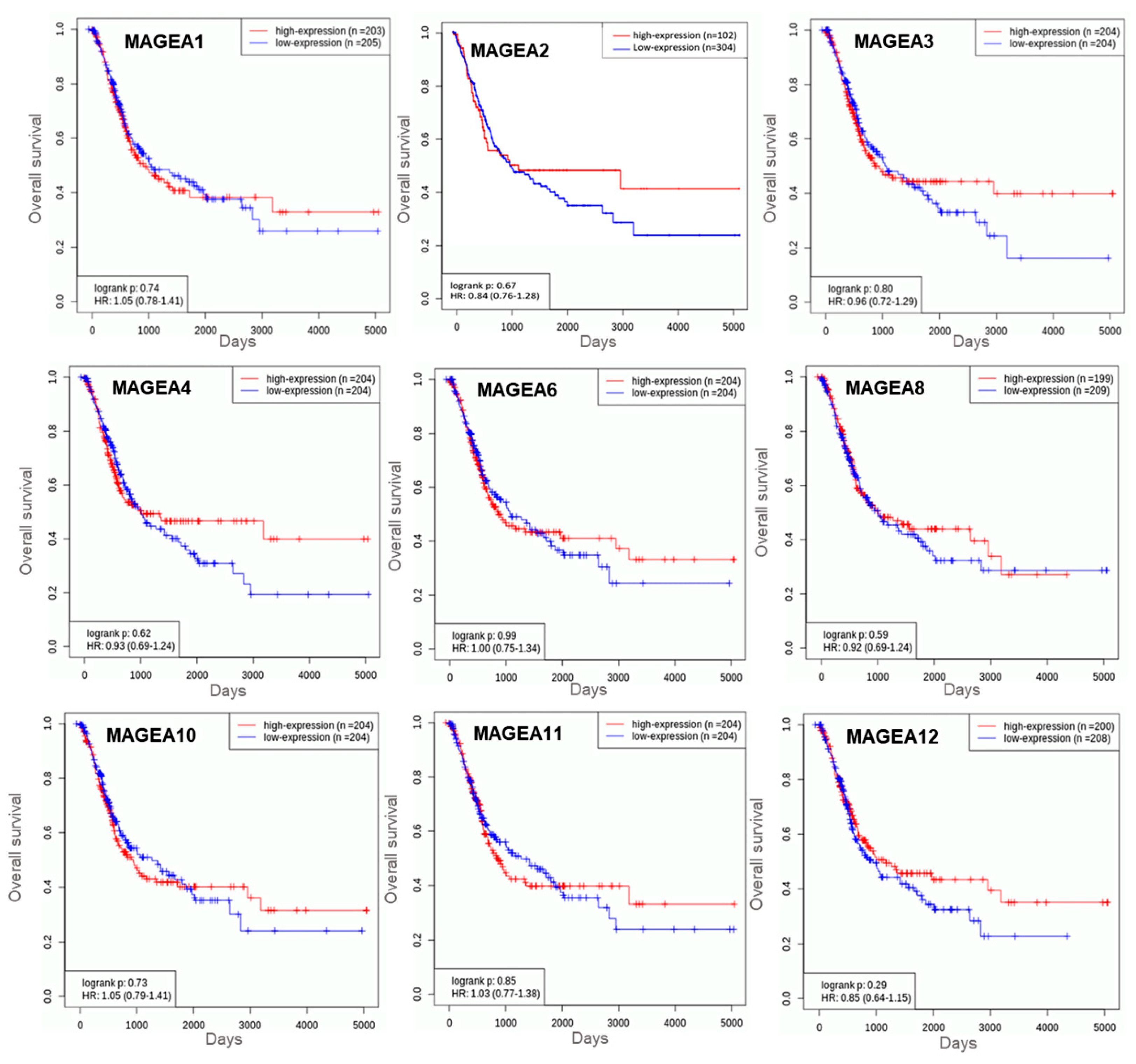 Cancers 16 00246 g008