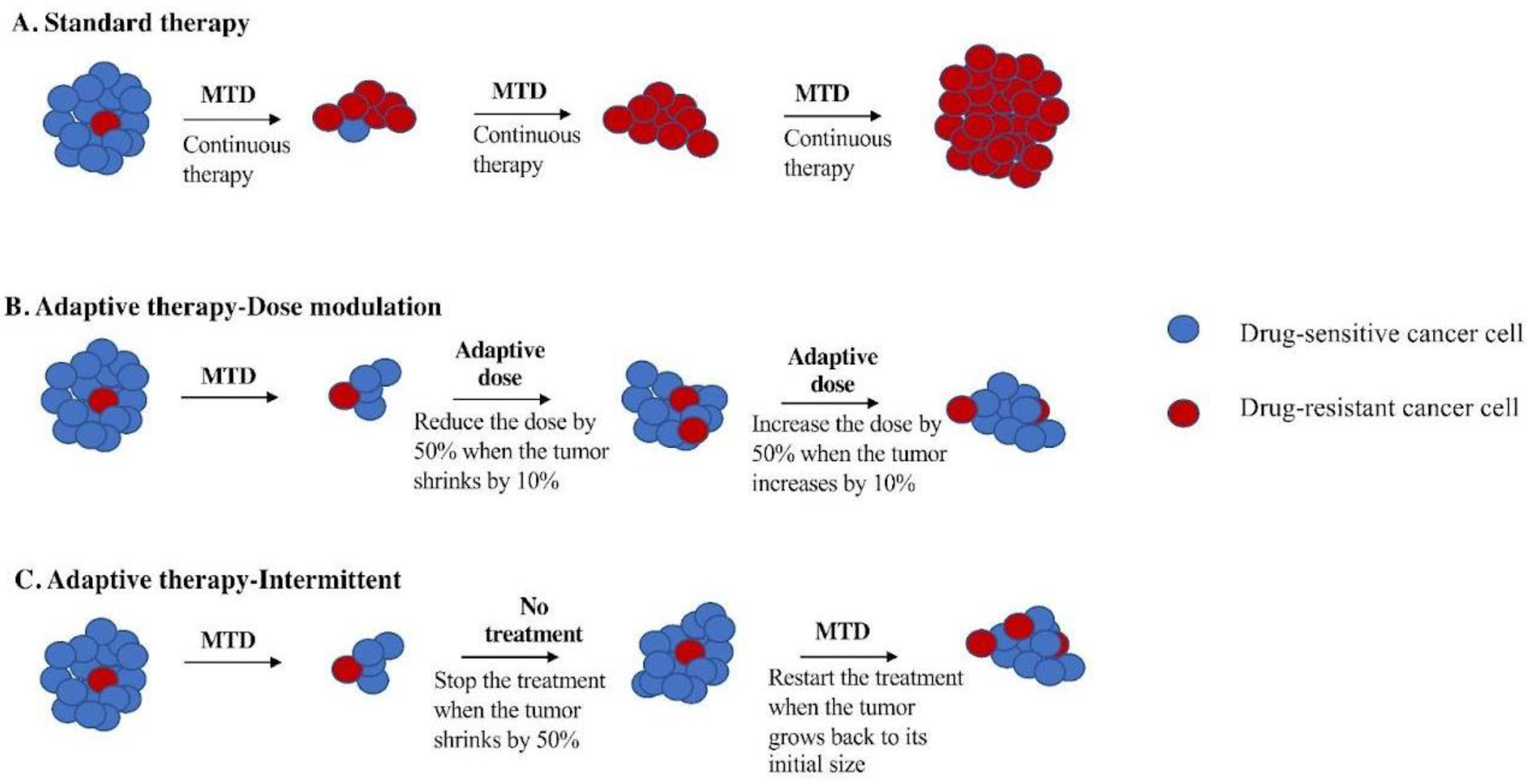 Cancers 16 00257 g001