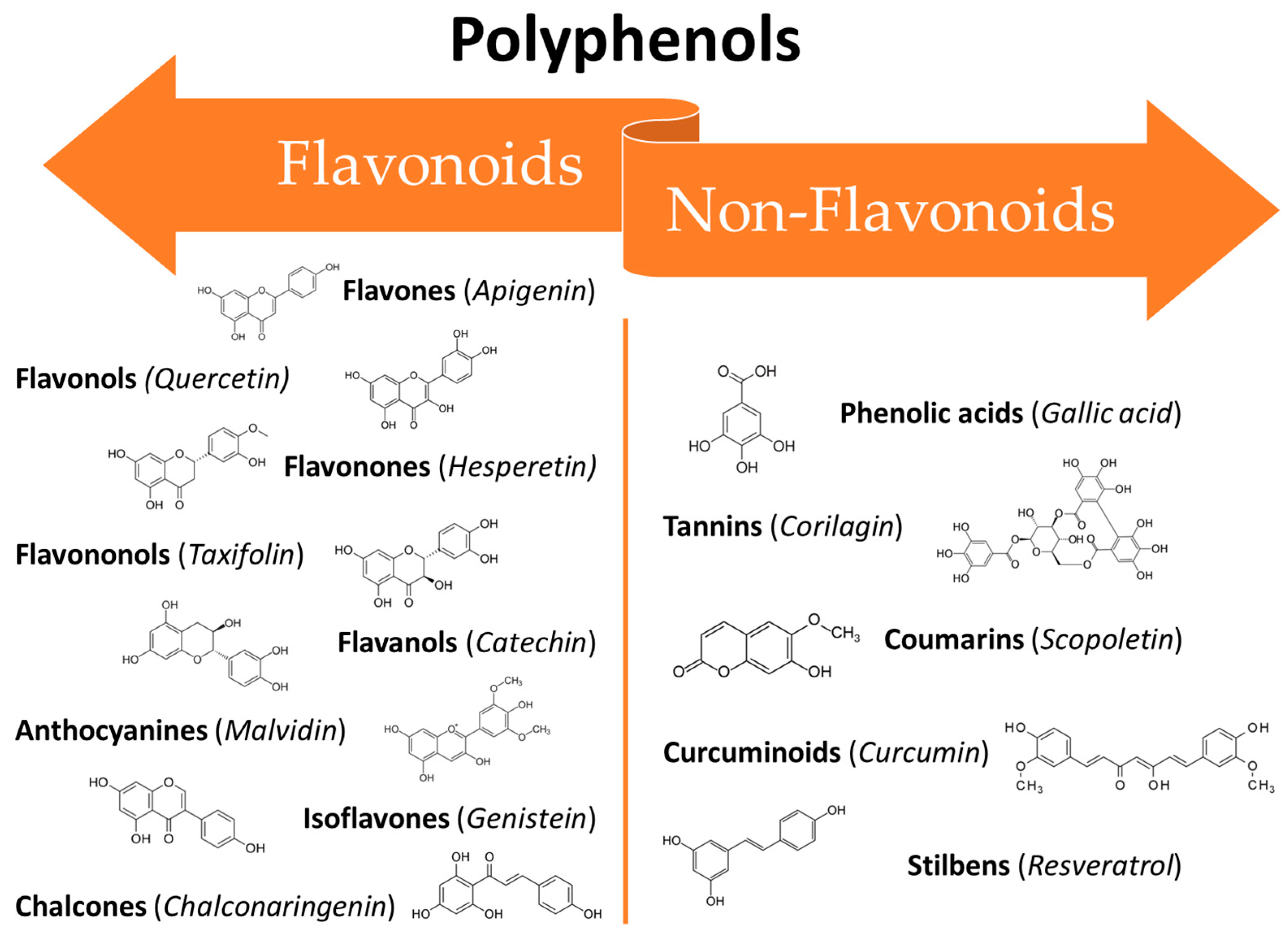 Cancers 16 00260 g001