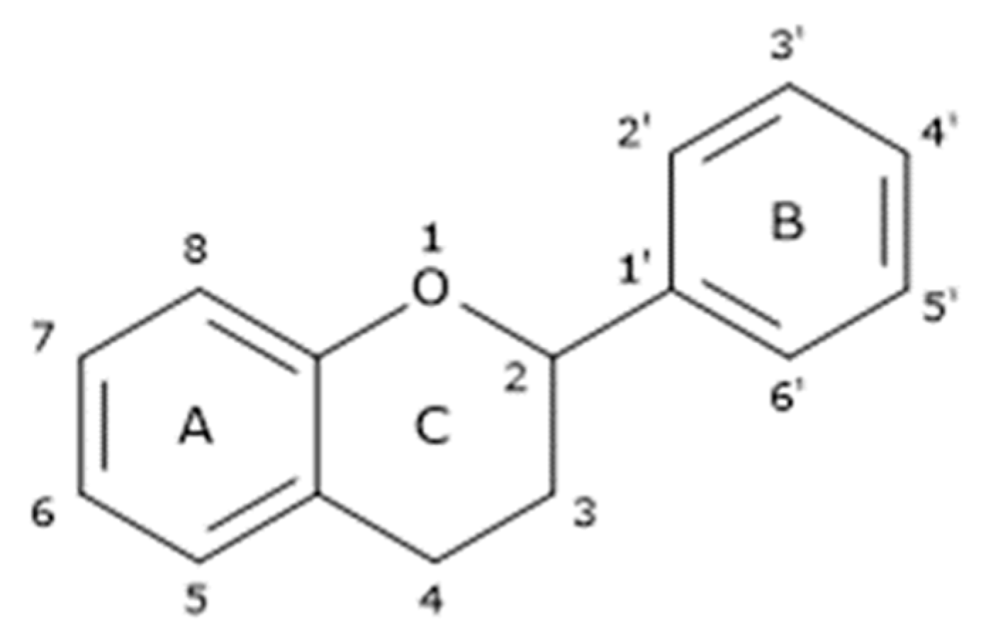 Cancers 16 00260 g003