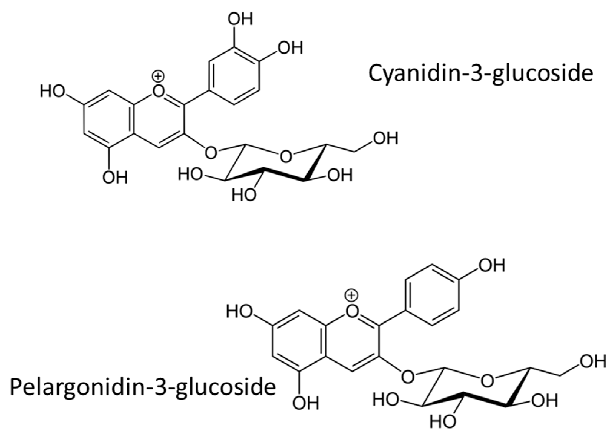Cancers 16 00260 g010