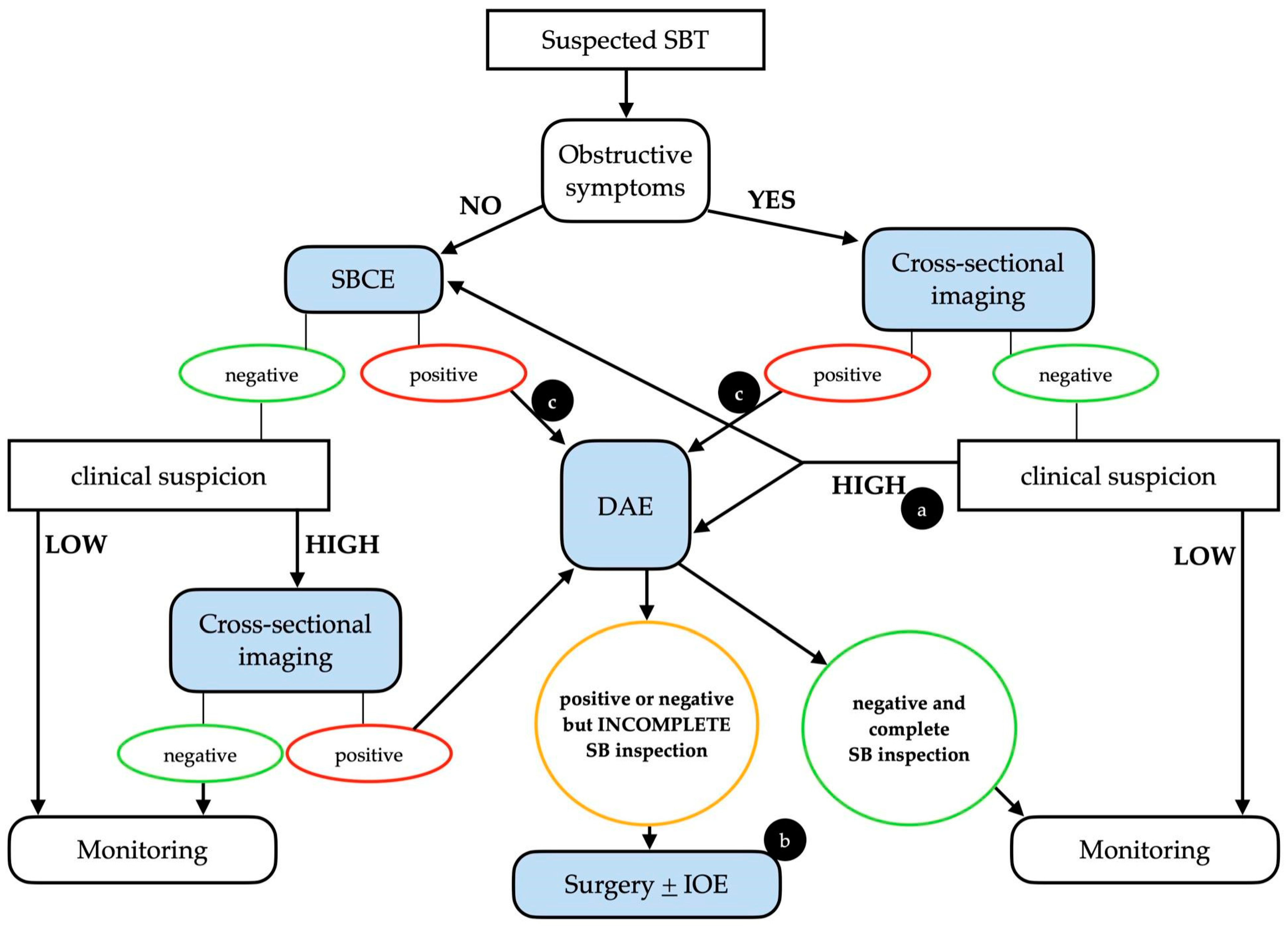 Cancers 16 00262 g001