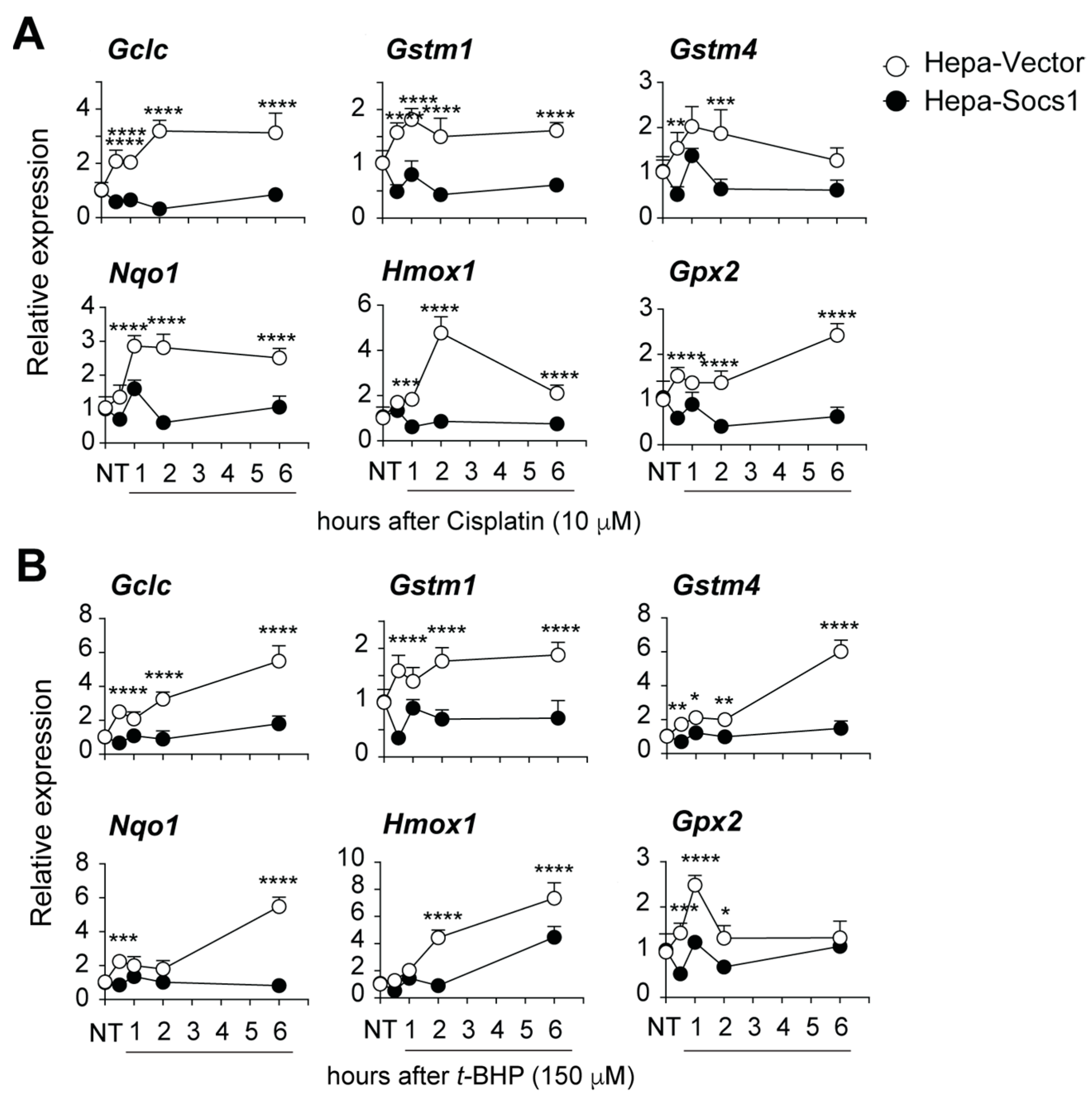 Cancers 16 00292 g002 Cancers 16 00292 g002