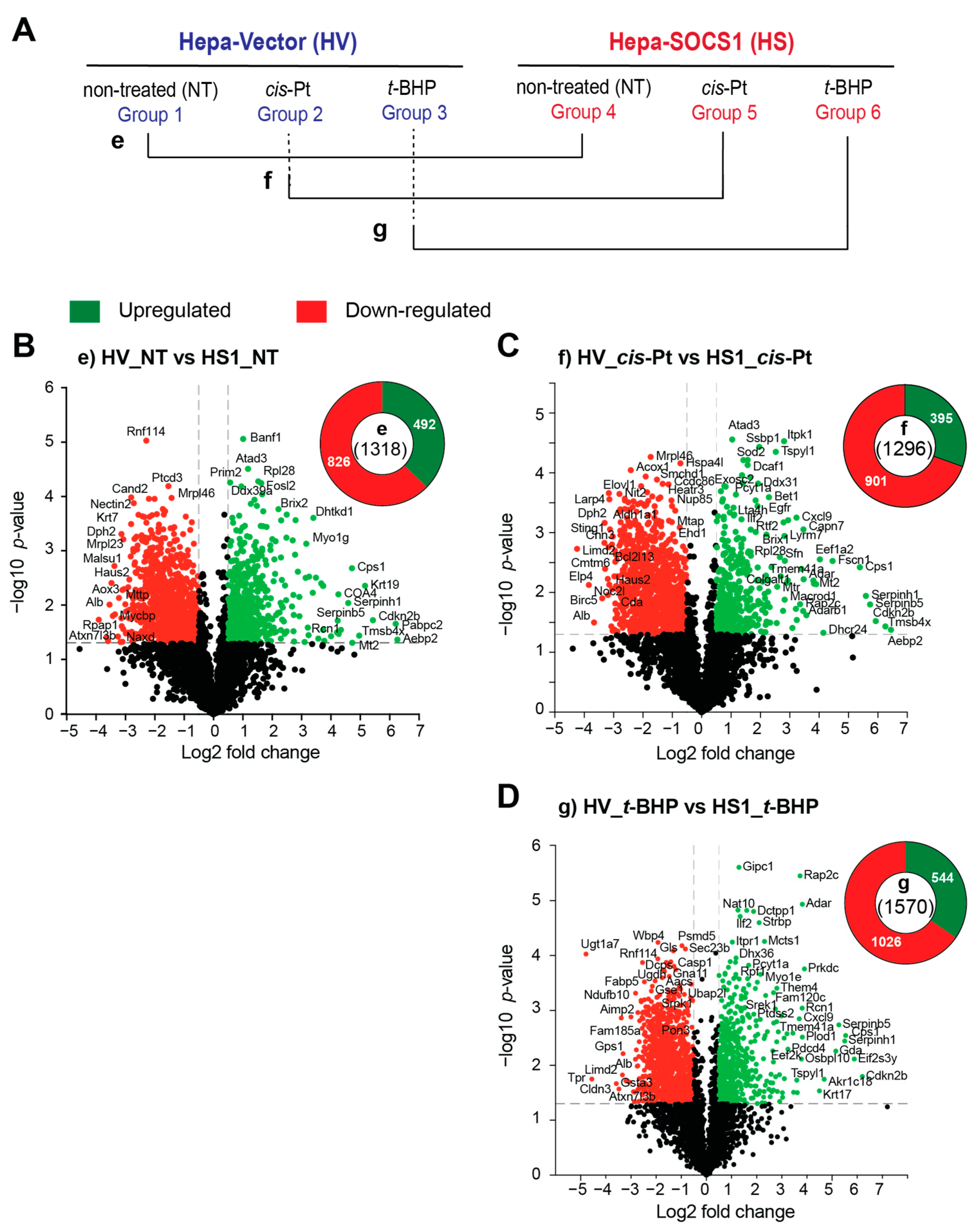 Cancers 16 00292 g007 Cancers 16 00292 g007