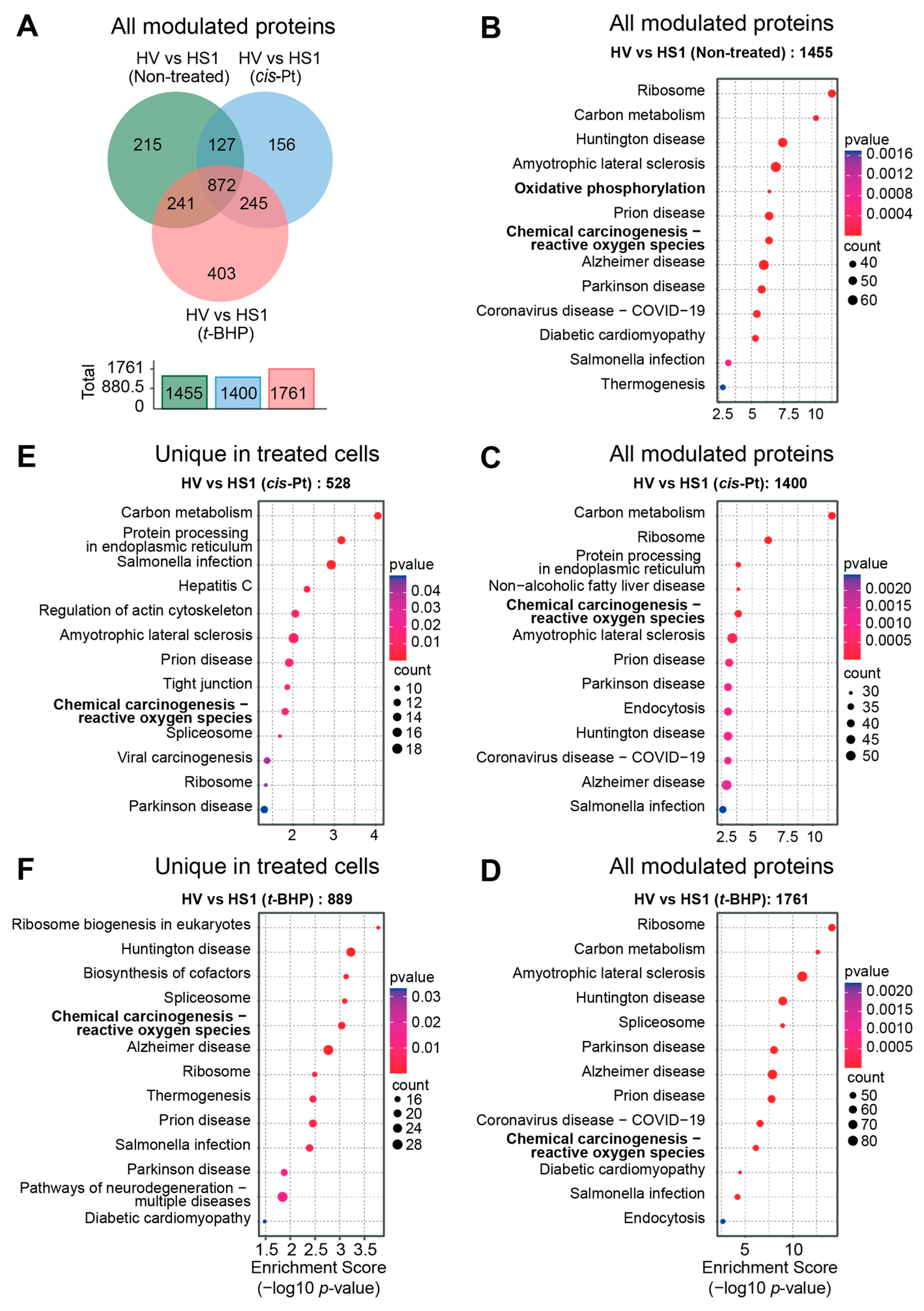 Cancers 16 00292 g008 Cancers 16 00292 g008