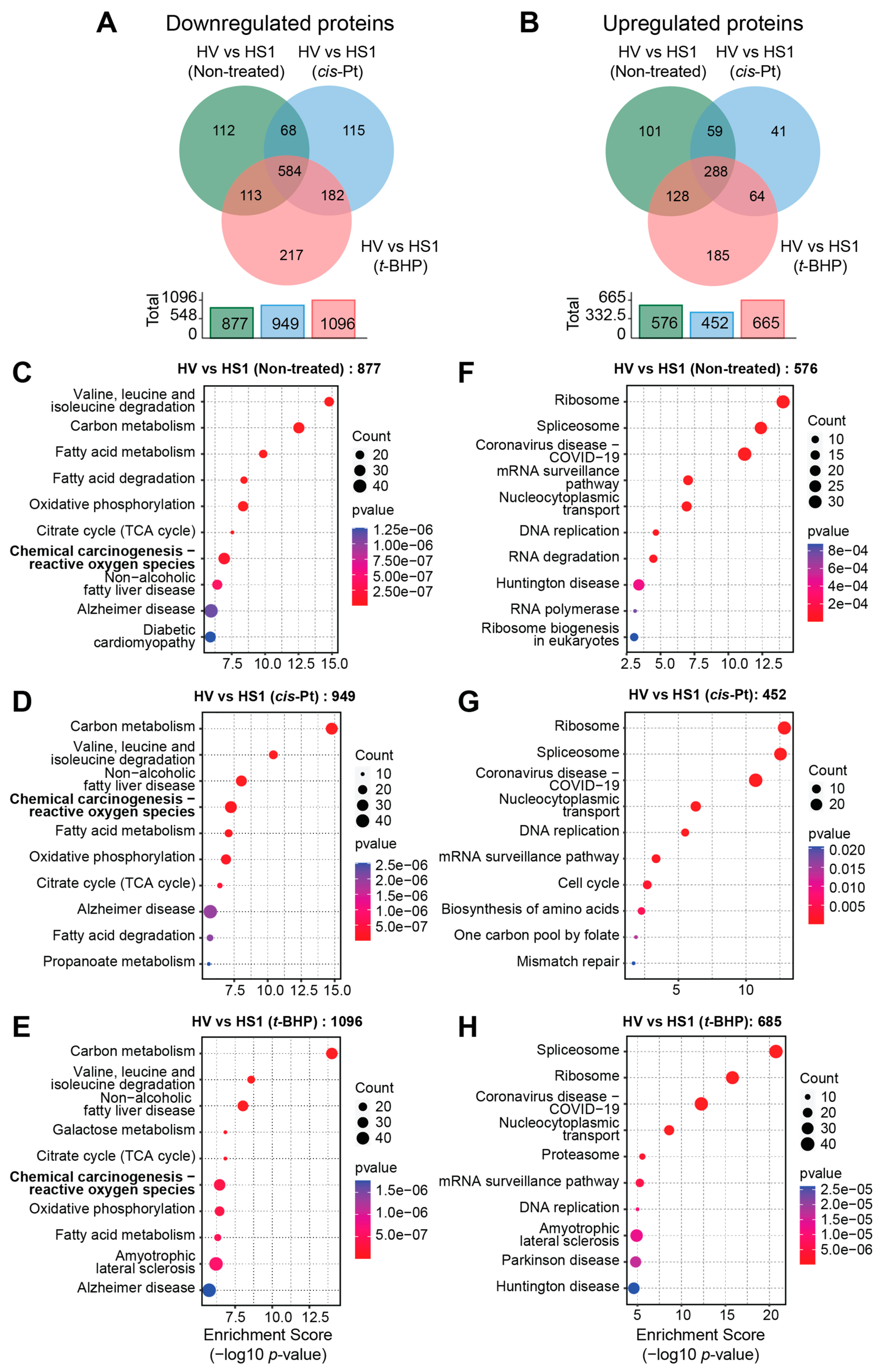 Cancers 16 00292 g009 Cancers 16 00292 g009