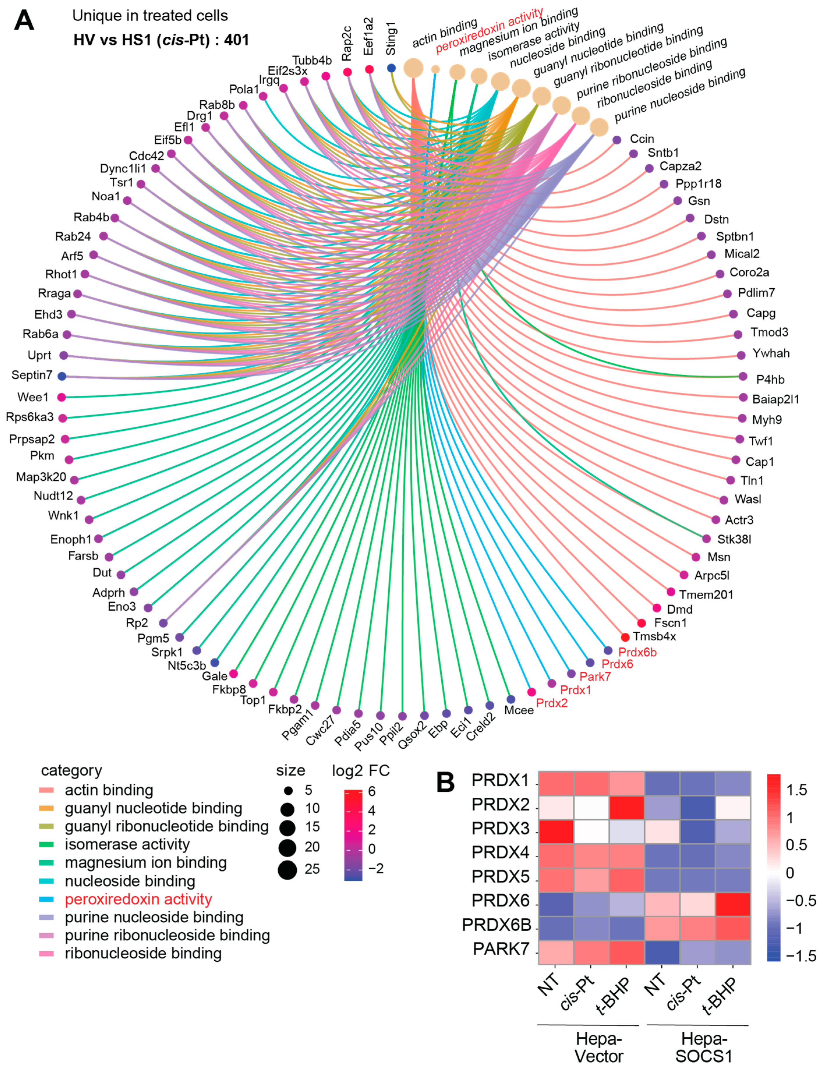 Cancers 16 00292 g011 Cancers 16 00292 g011