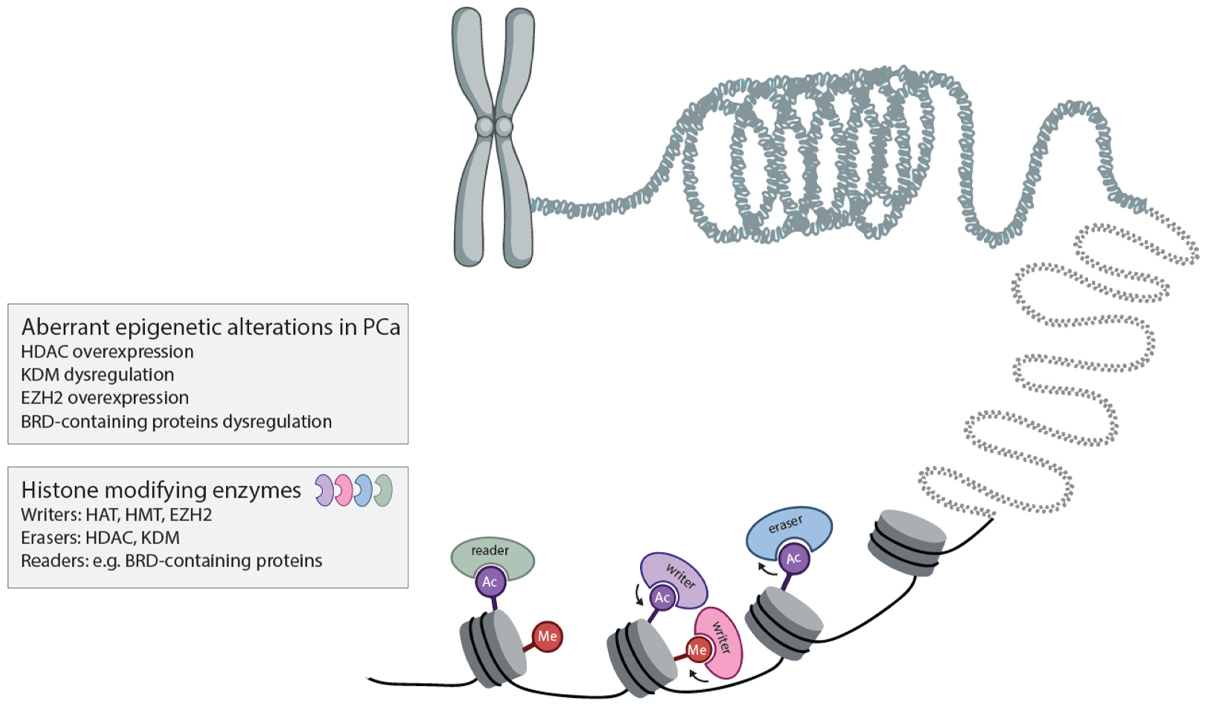 Cancers 16 00294 g001 Cancers 16 00294 g001