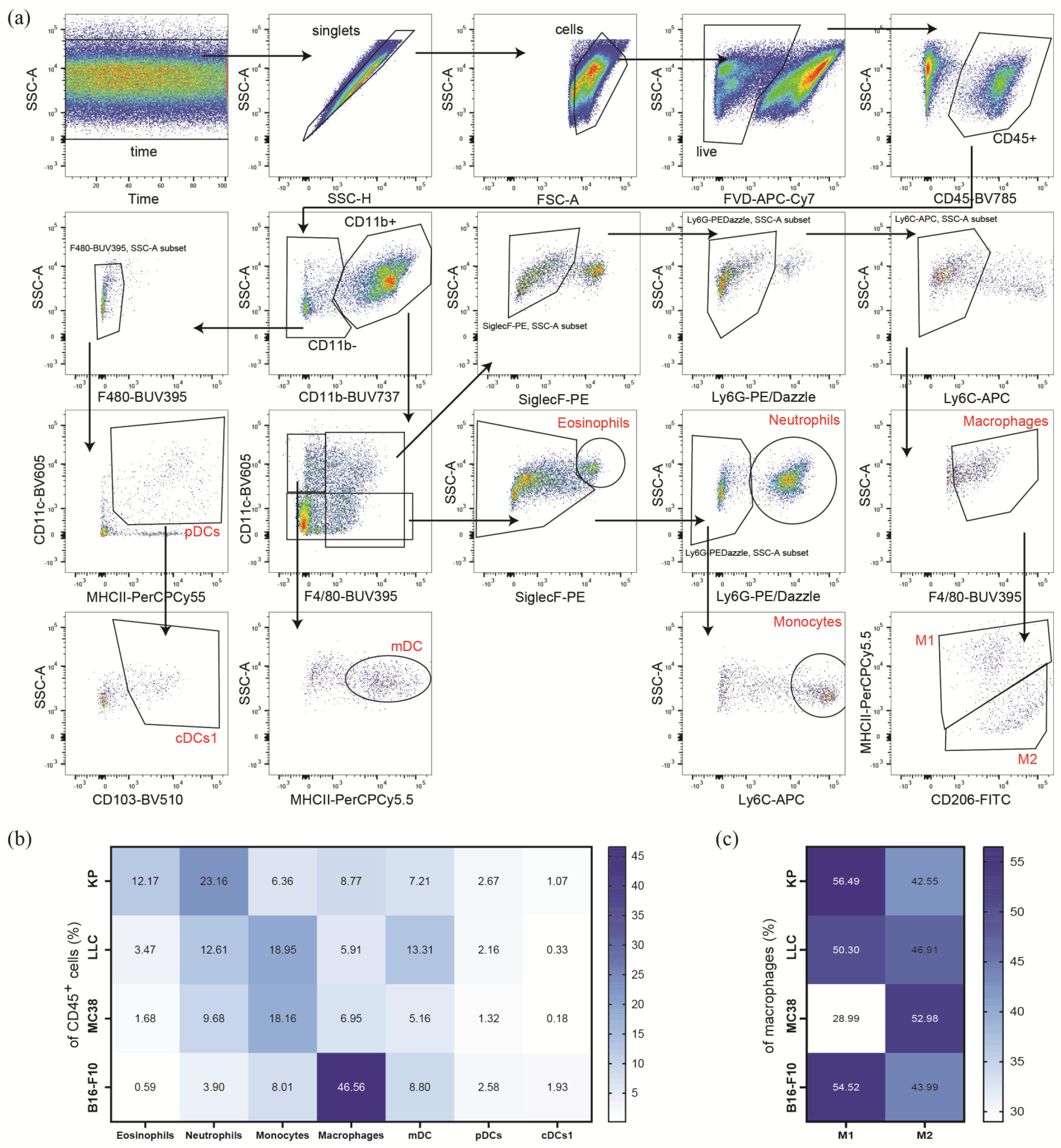 Cancers 16 00295 g002