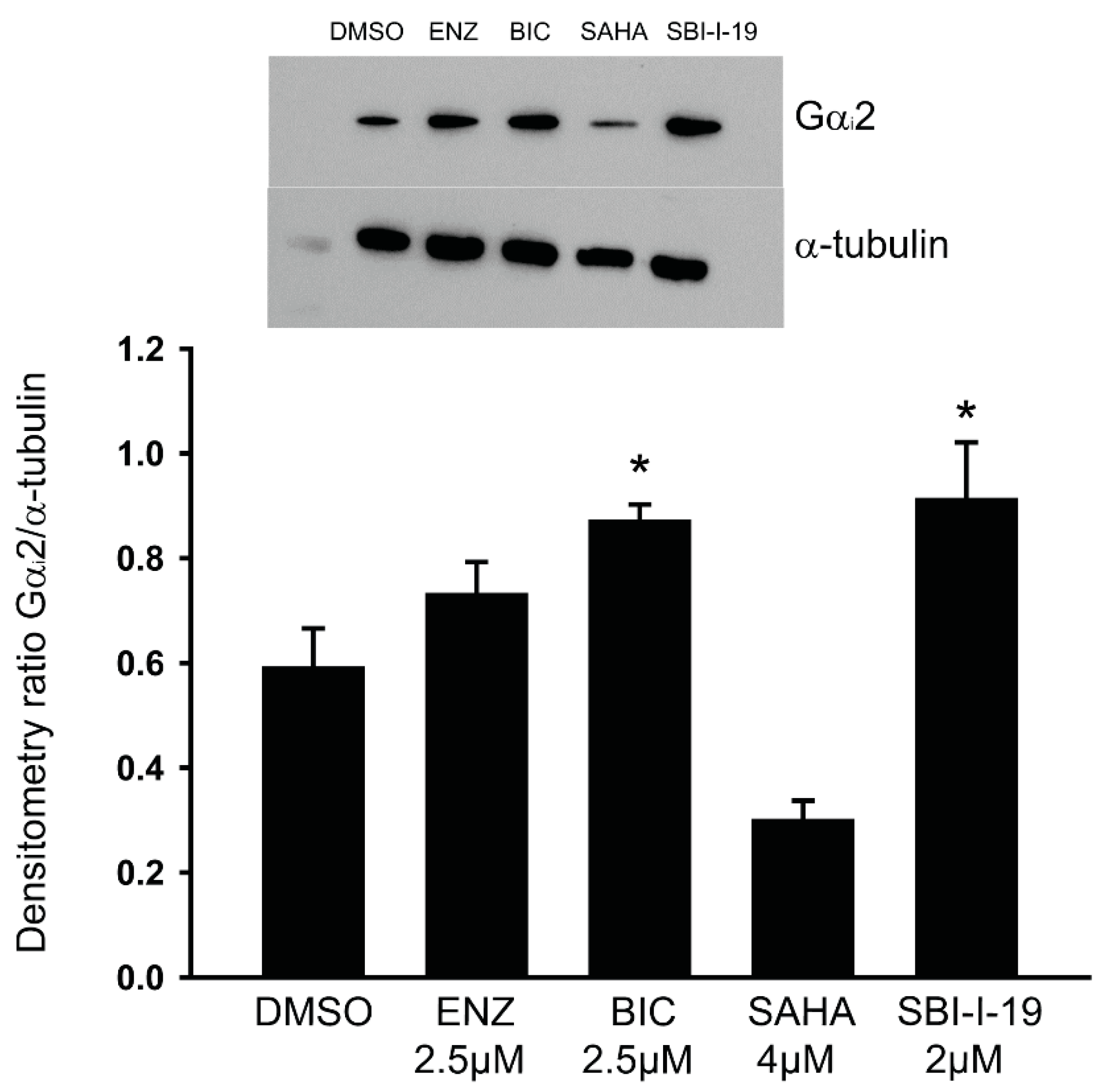 Cancers 16 00296 g006