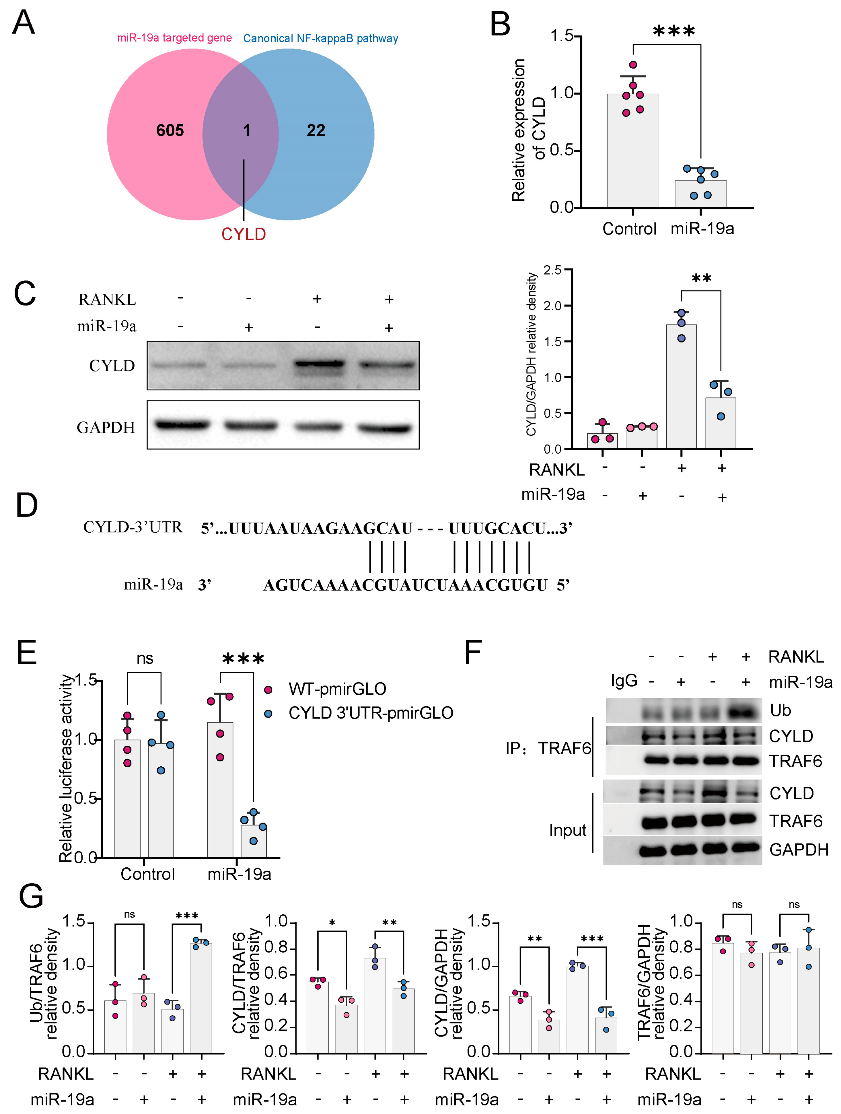 Cancers 16 00302 g003