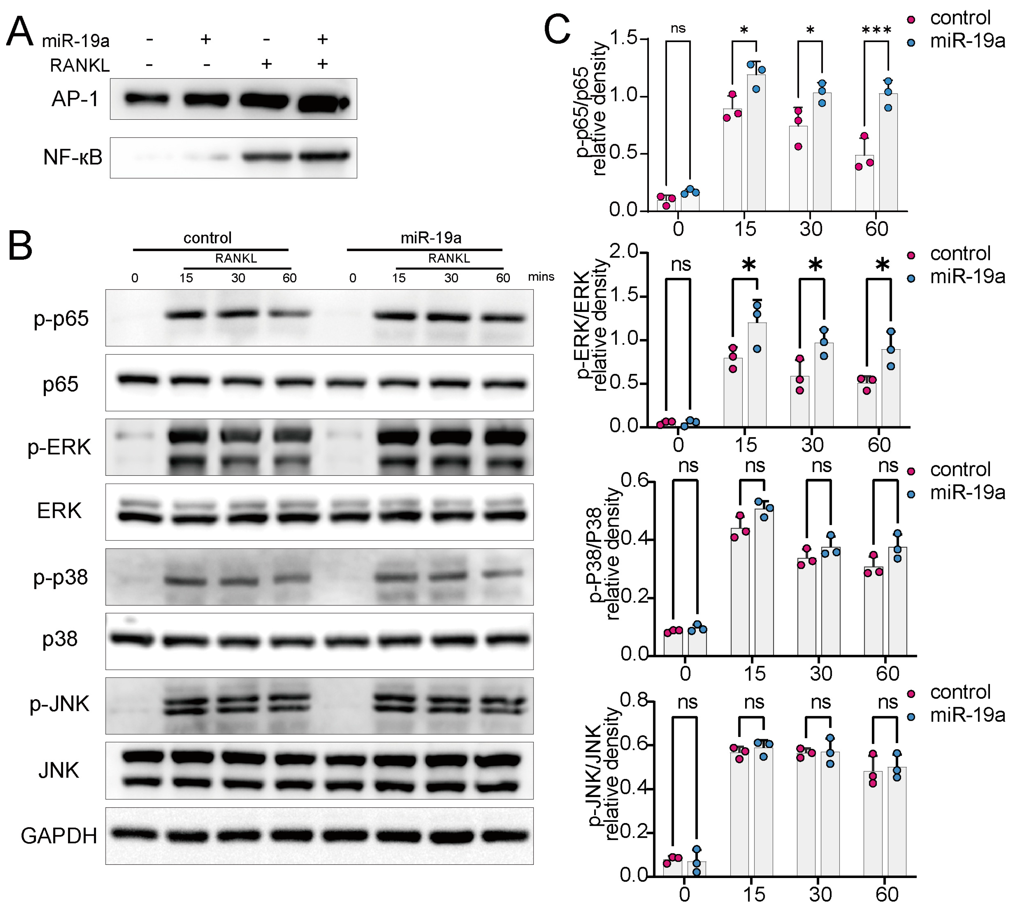 Cancers 16 00302 g005
