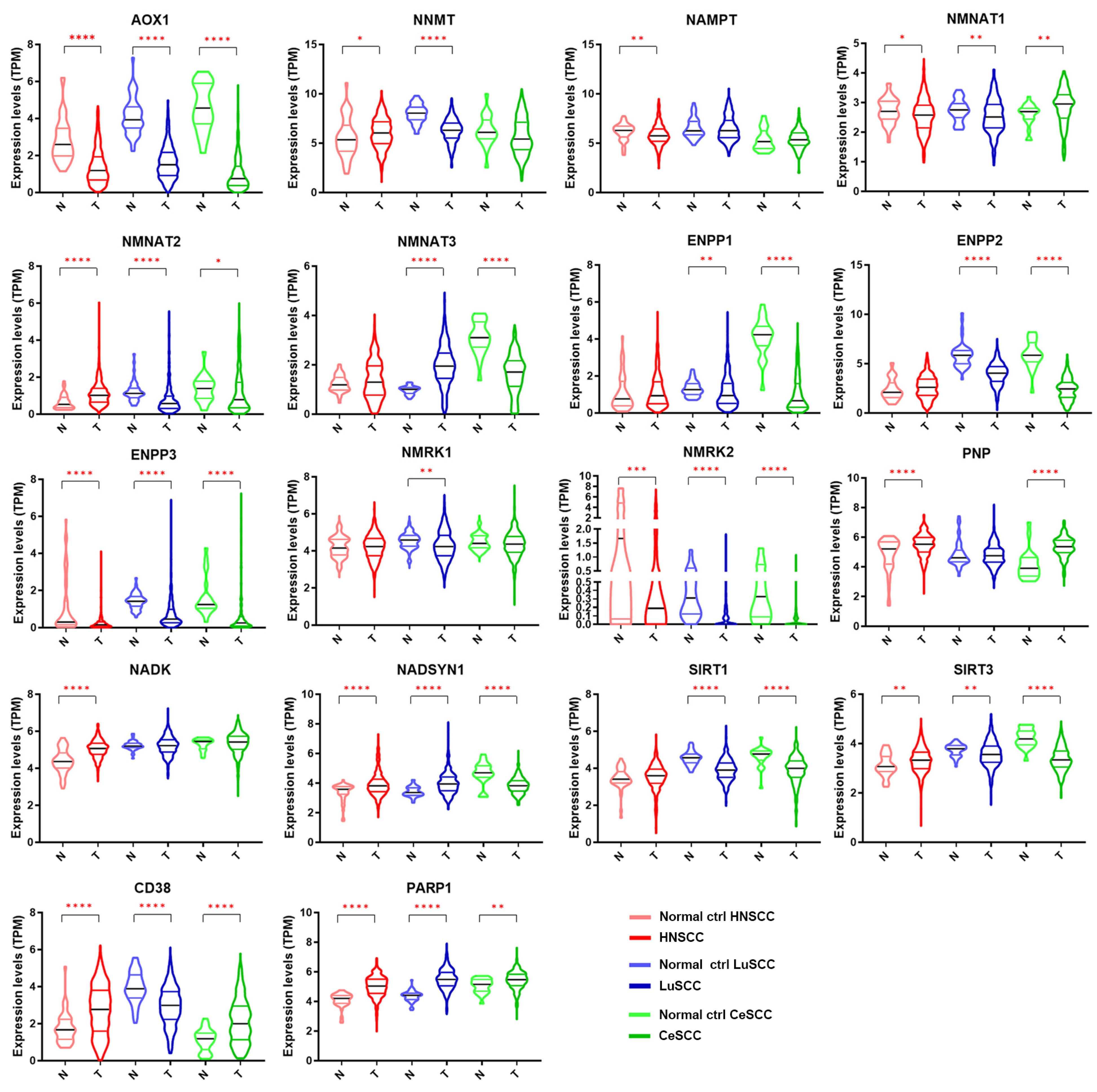 Cancers 16 00309 g002