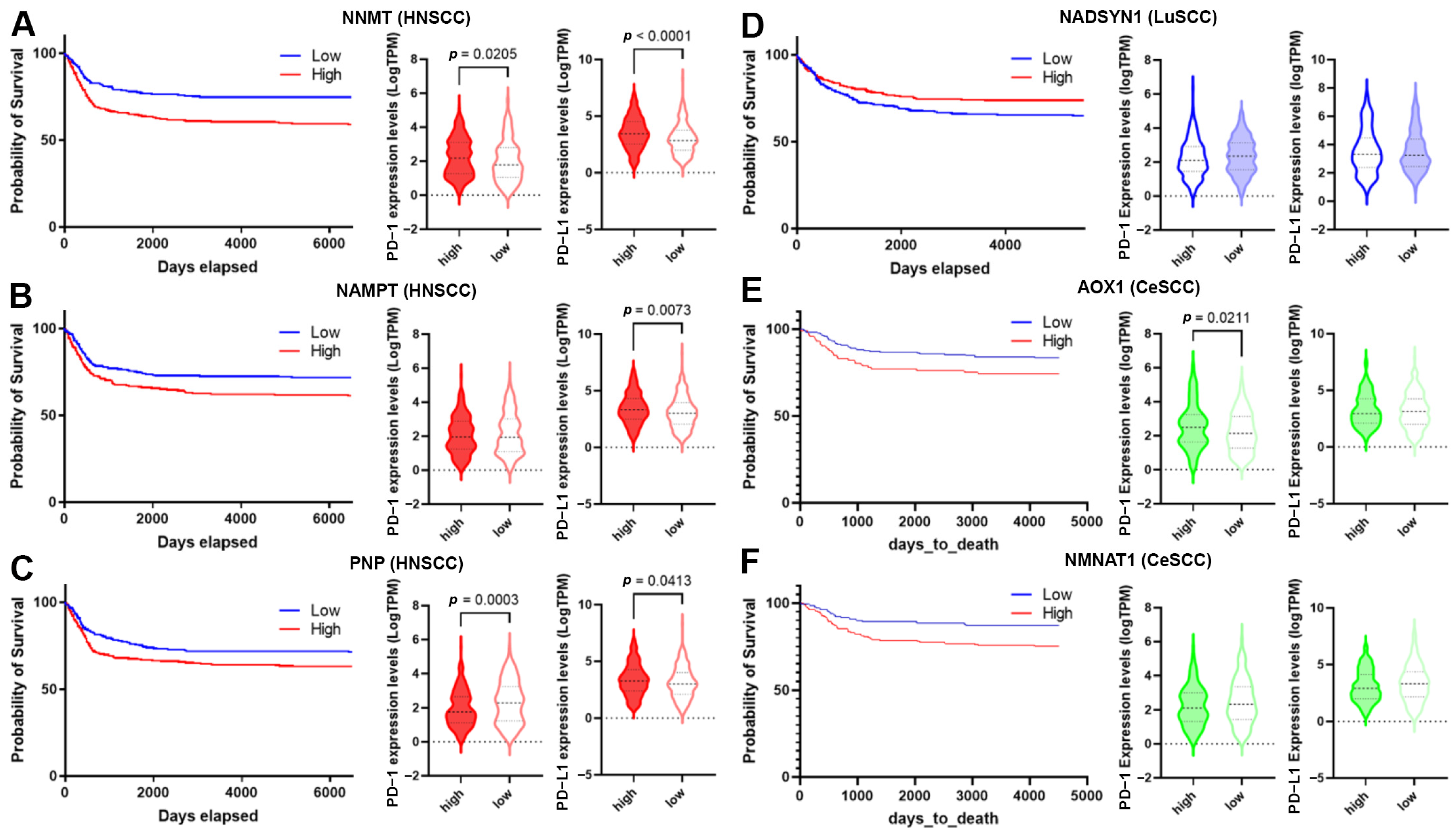 Cancers 16 00309 g008
