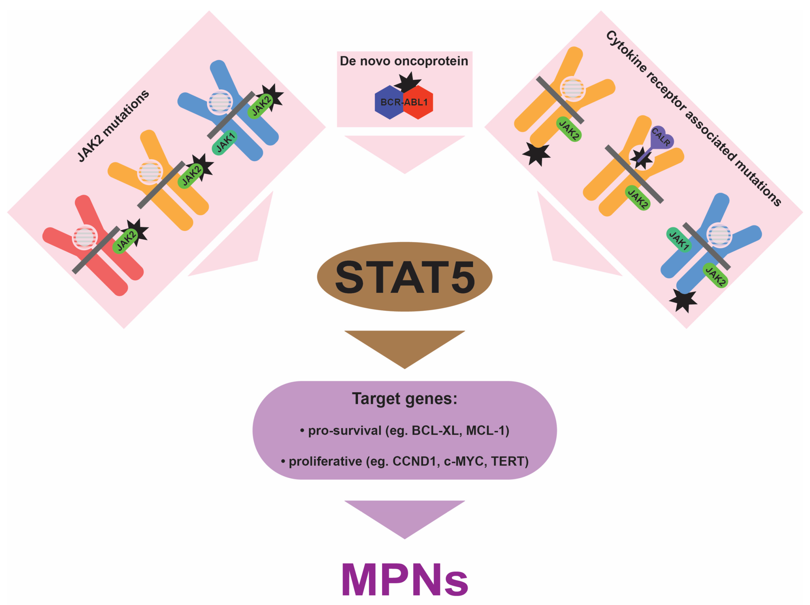 Cancers 16 00313 g003