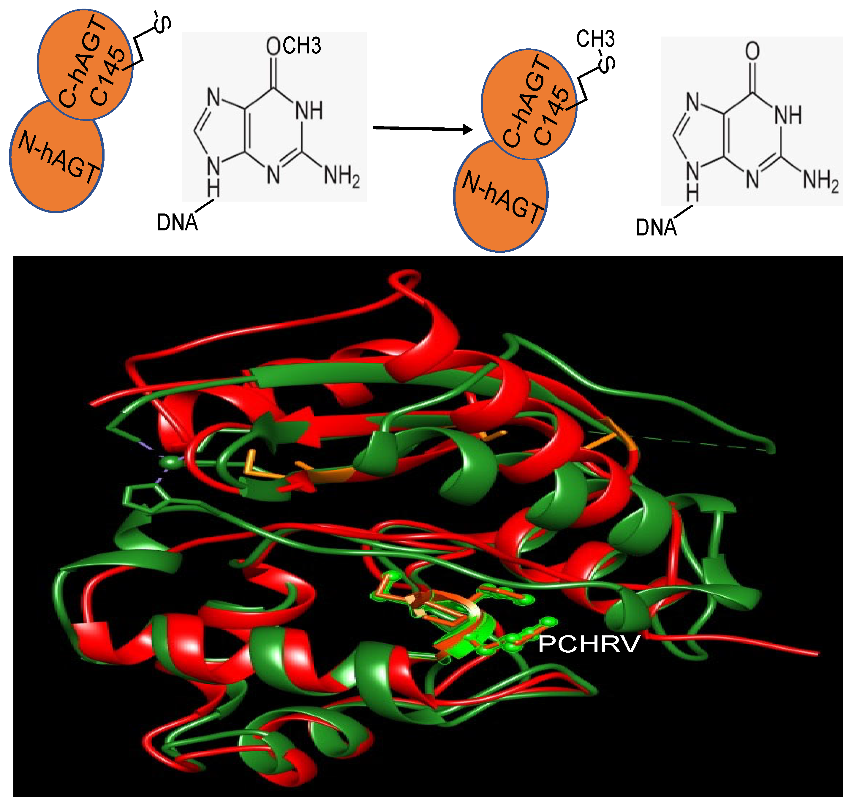 Cancers 16 00331 g001