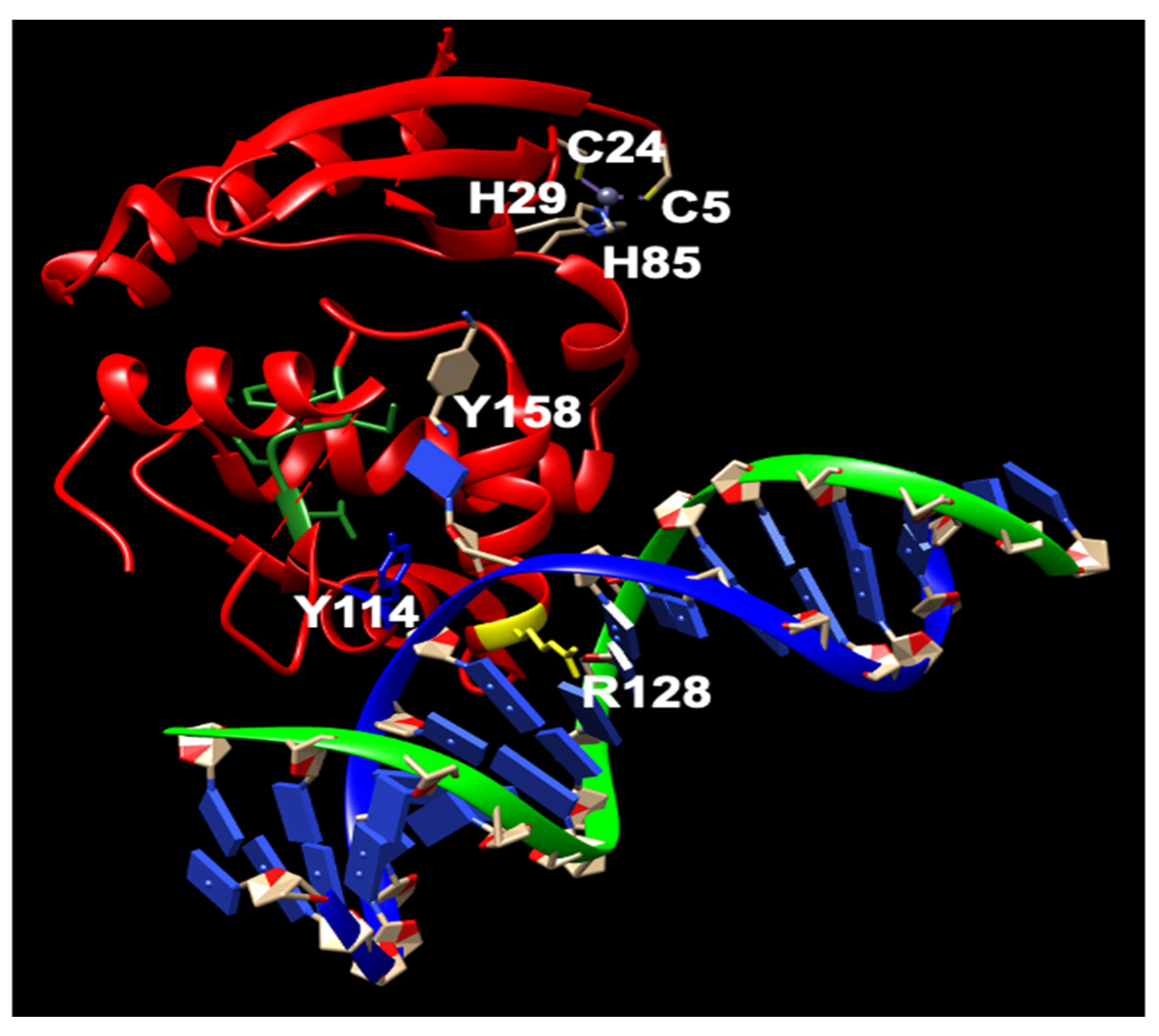 Cancers 16 00331 g002