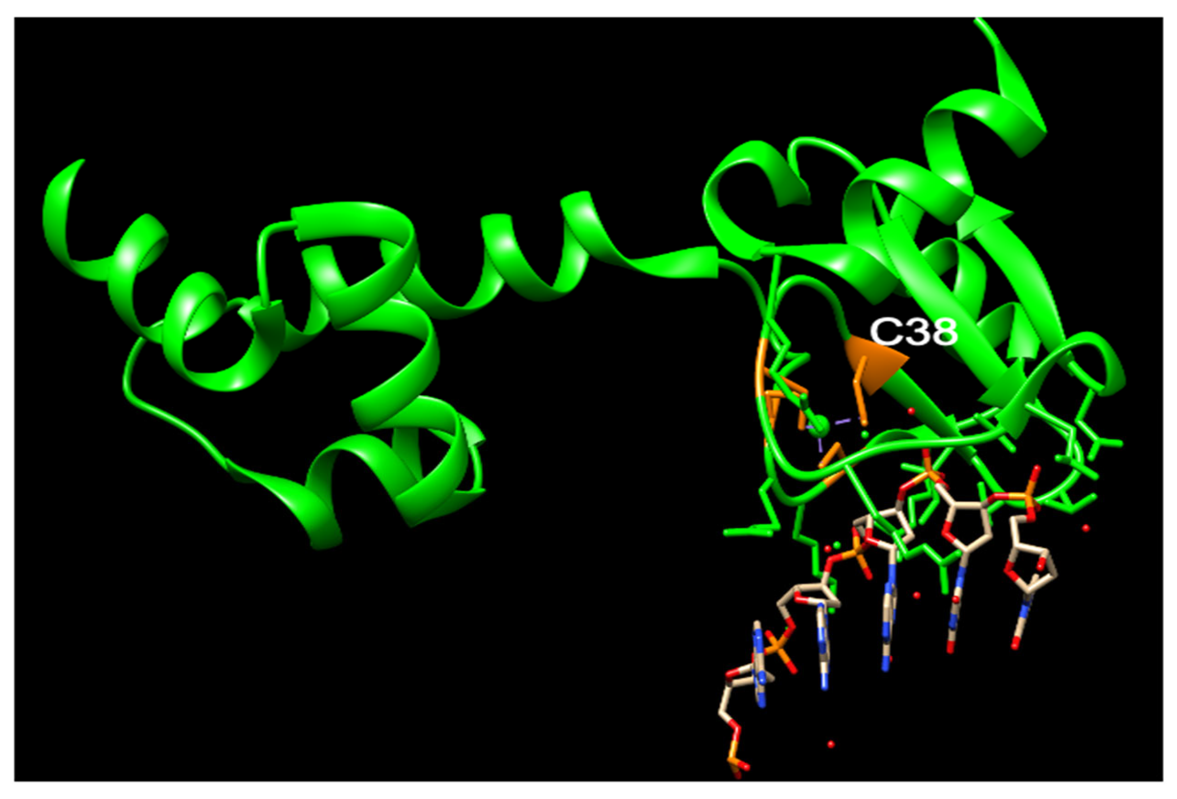 Cancers 16 00331 g003