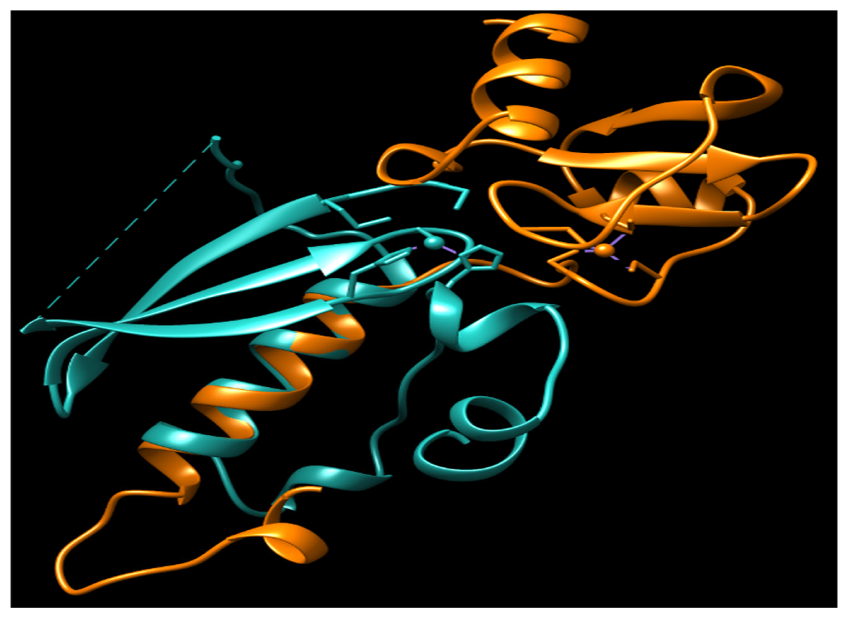 Cancers 16 00331 g004