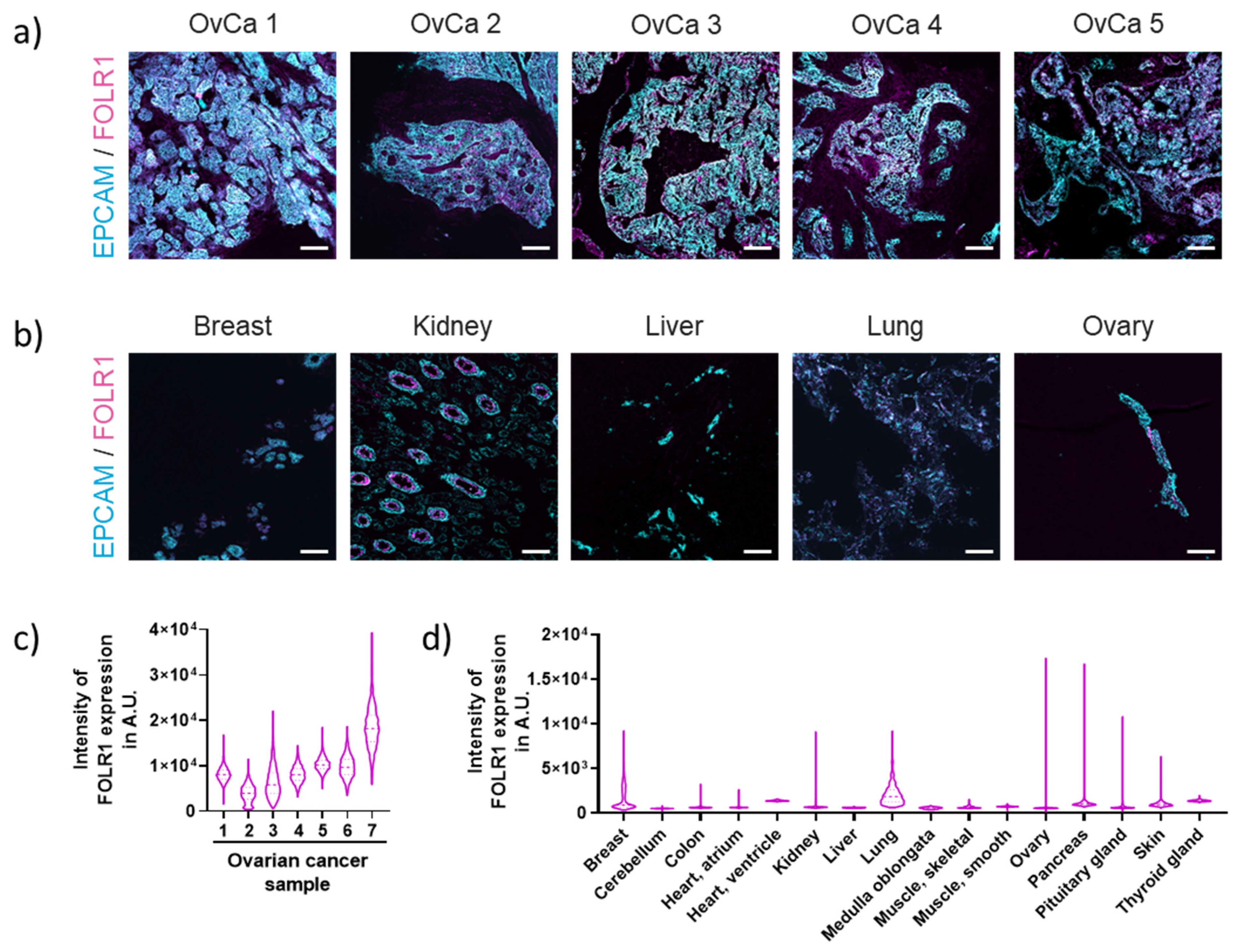 Cancers 16 00333 g001