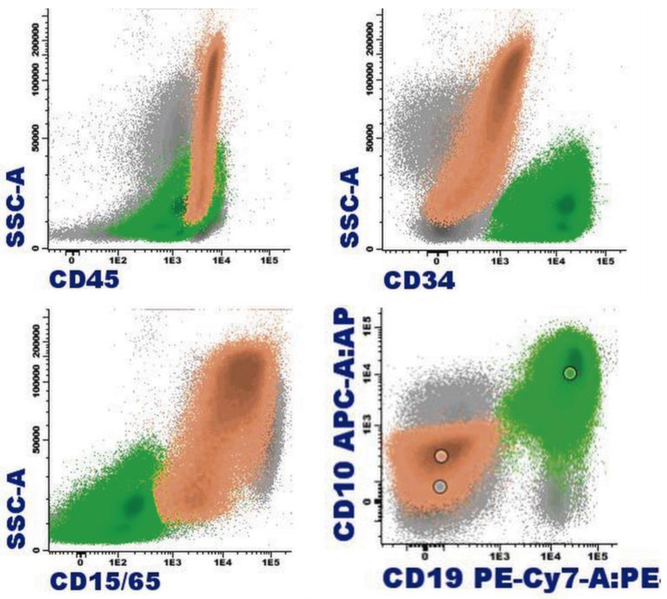 Cancers 16 00337 g008